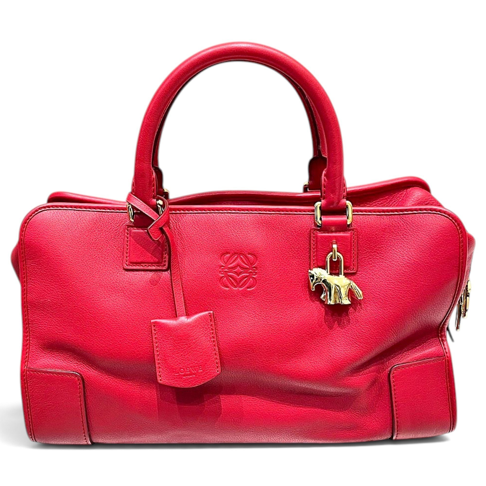 Amazona leather handbag