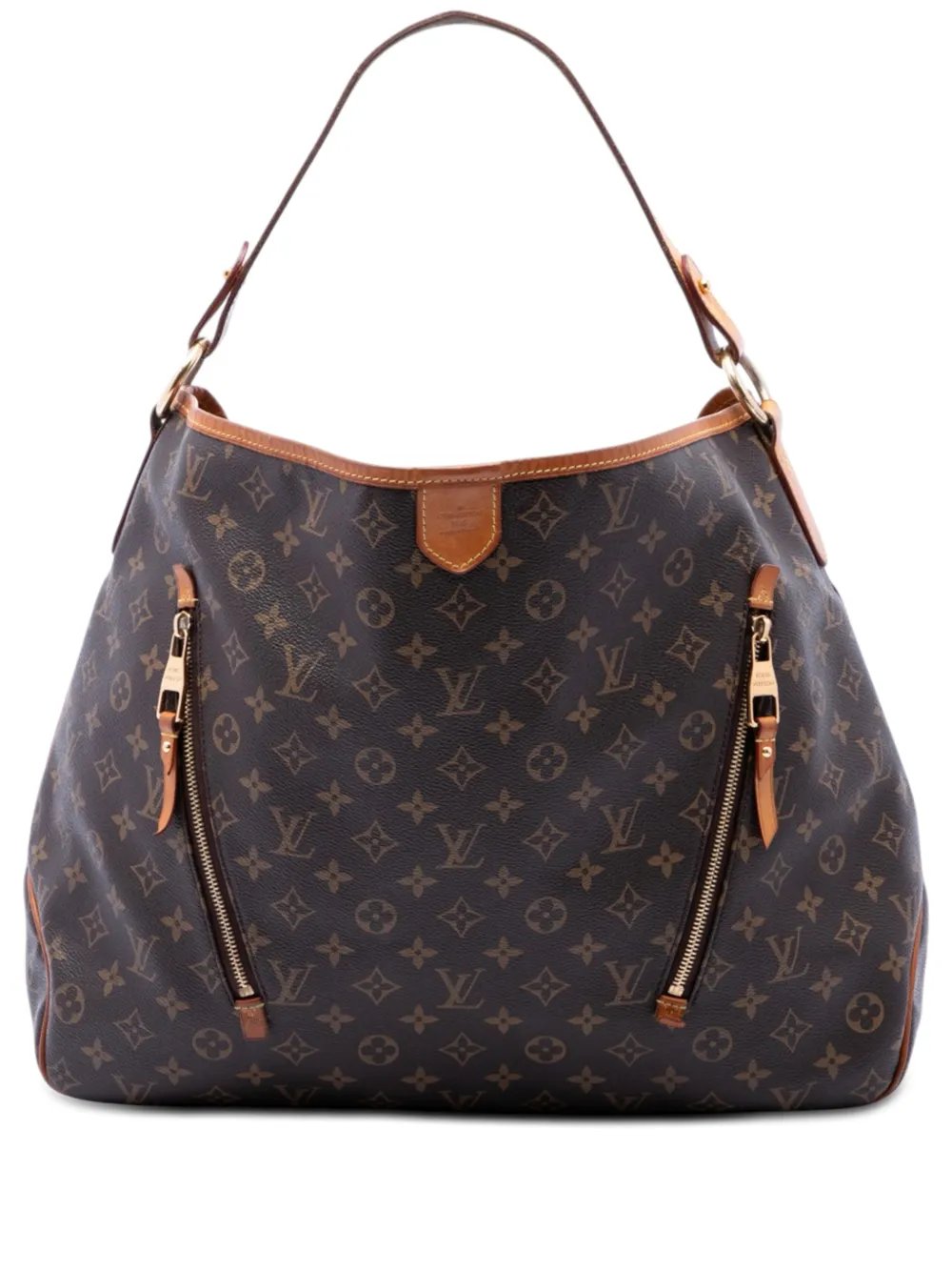 2010 Monogram Delightful GM hobo bag