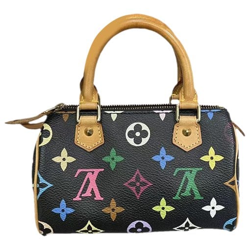 Louis Vuitton Speedy leather mini bag