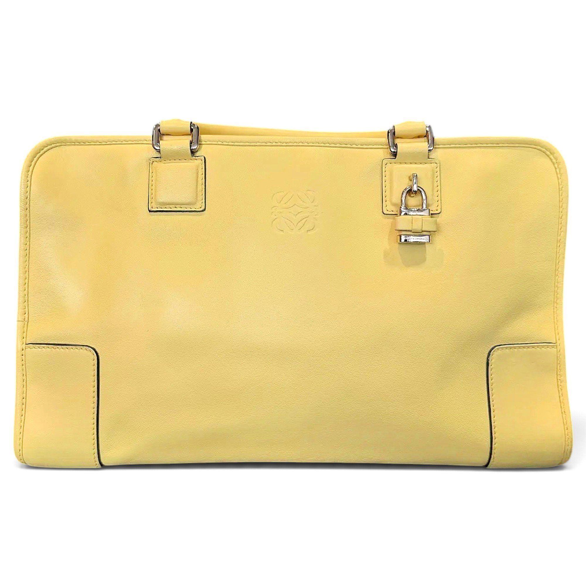 Amazona 180 leather handbag