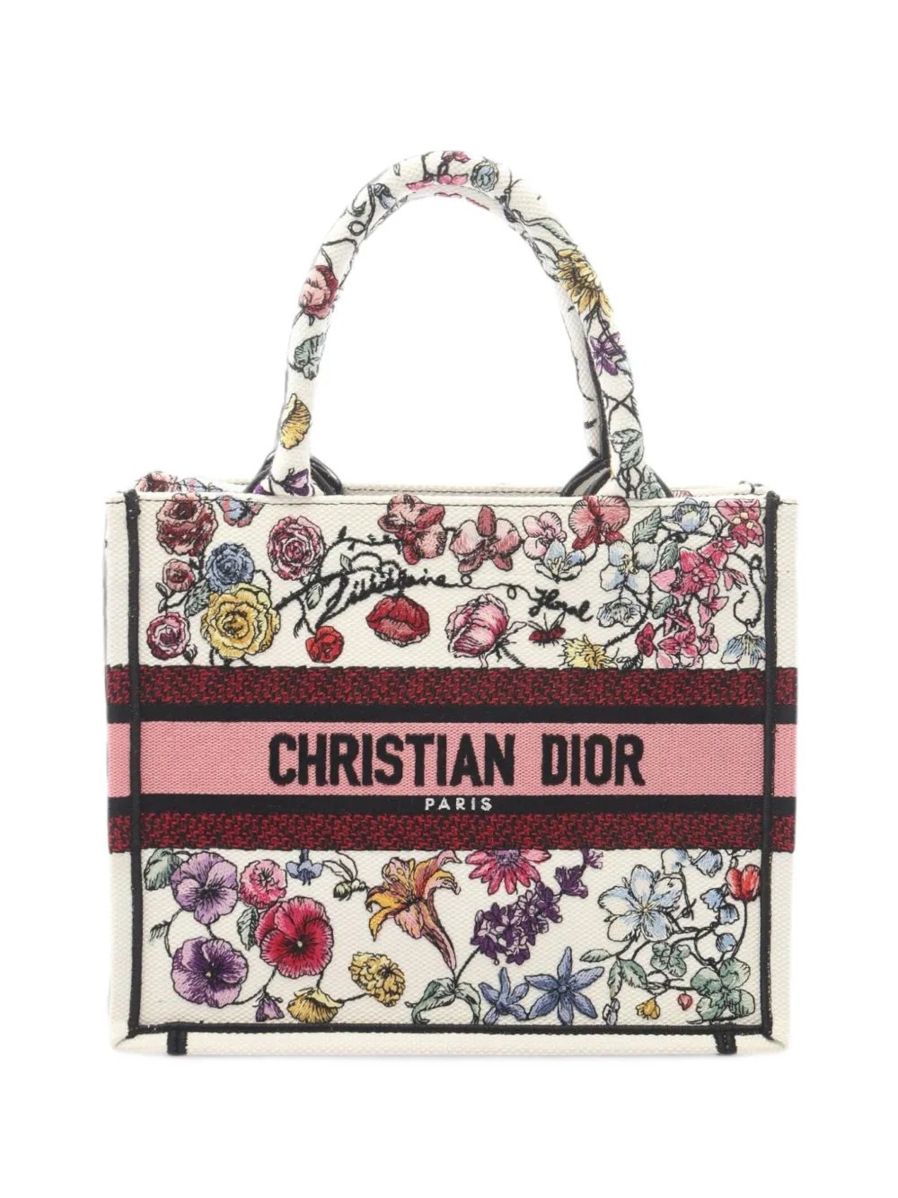 2010-2026 Small Canvas Embroidered Book tote bag