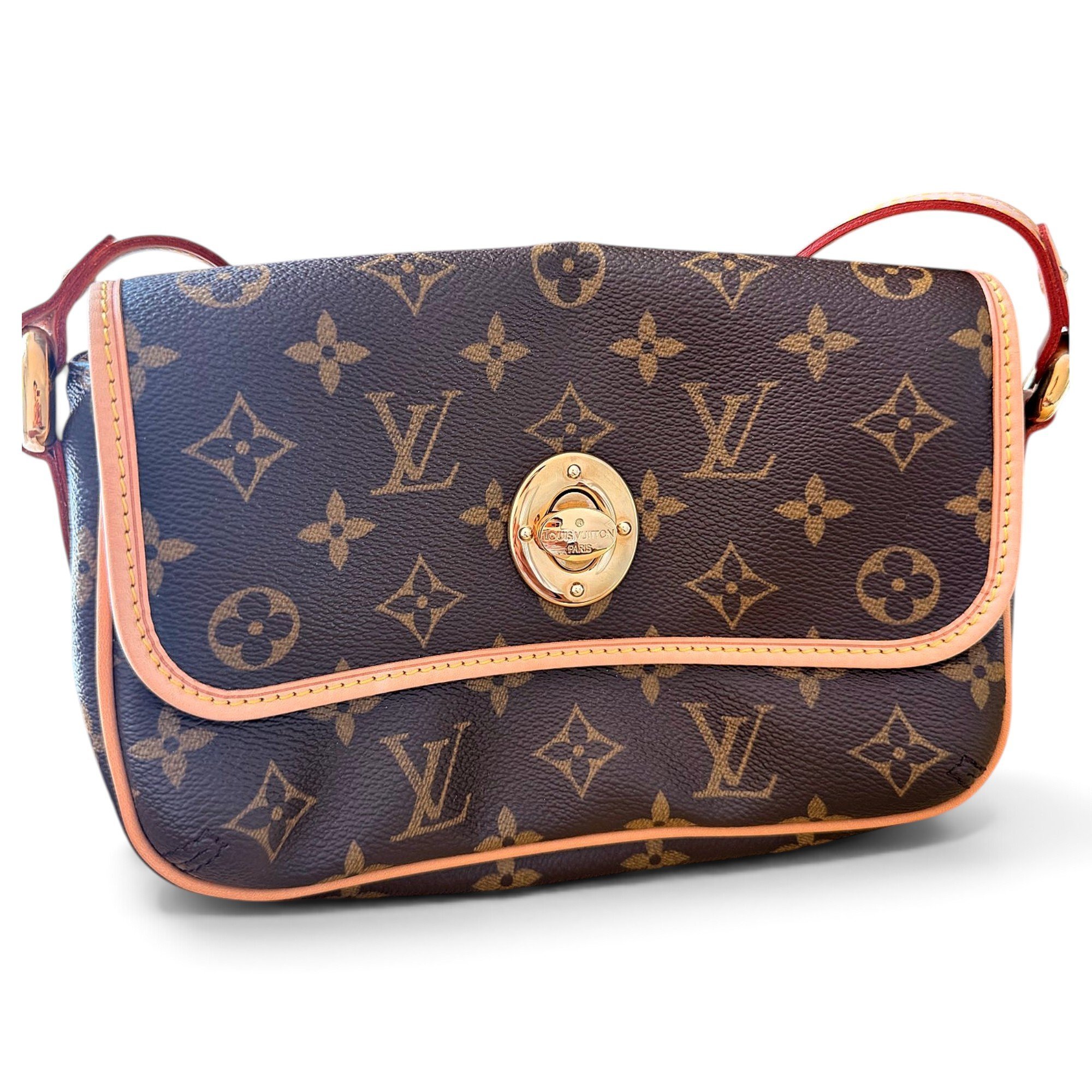 Croissant leather handbag