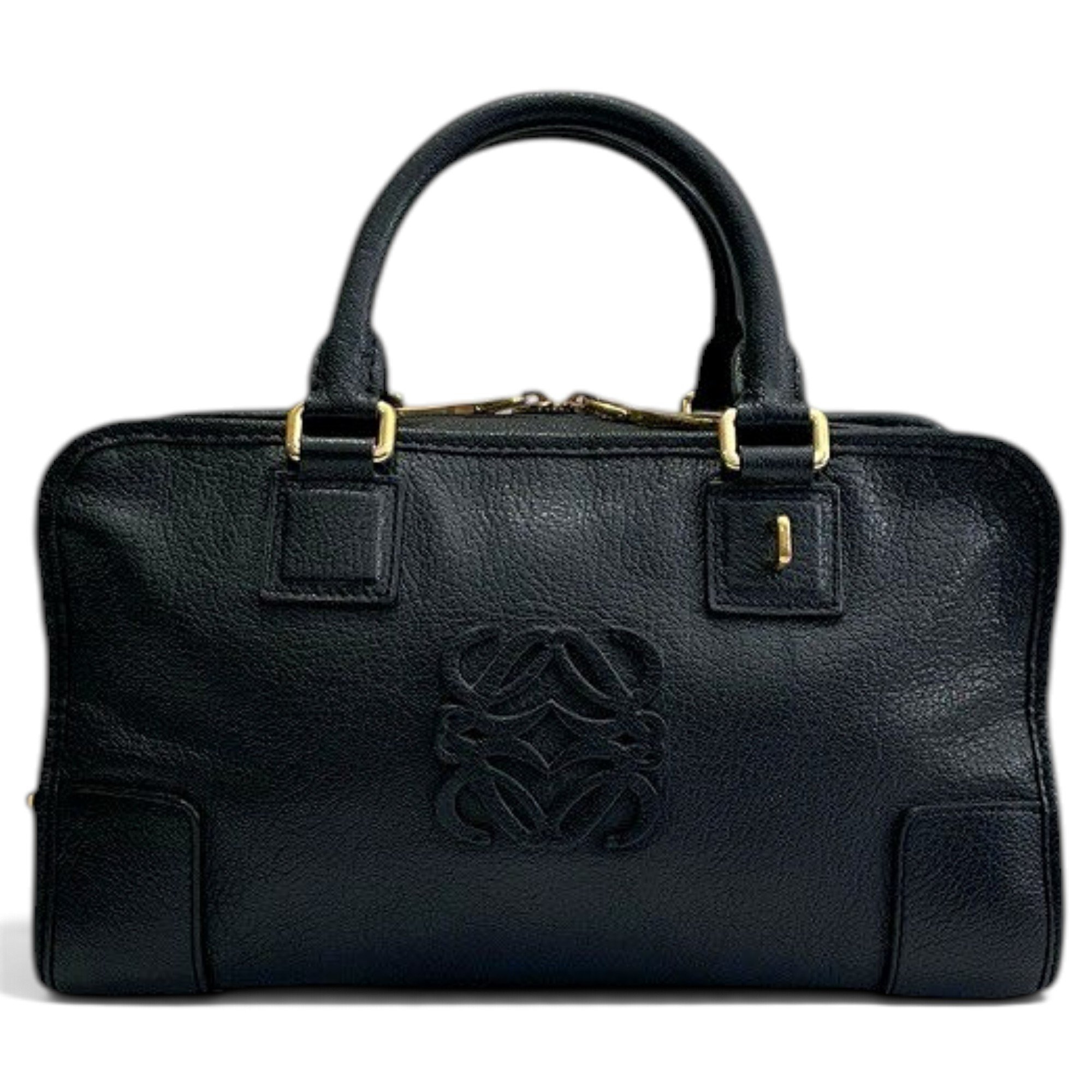 Amazona leather handbag