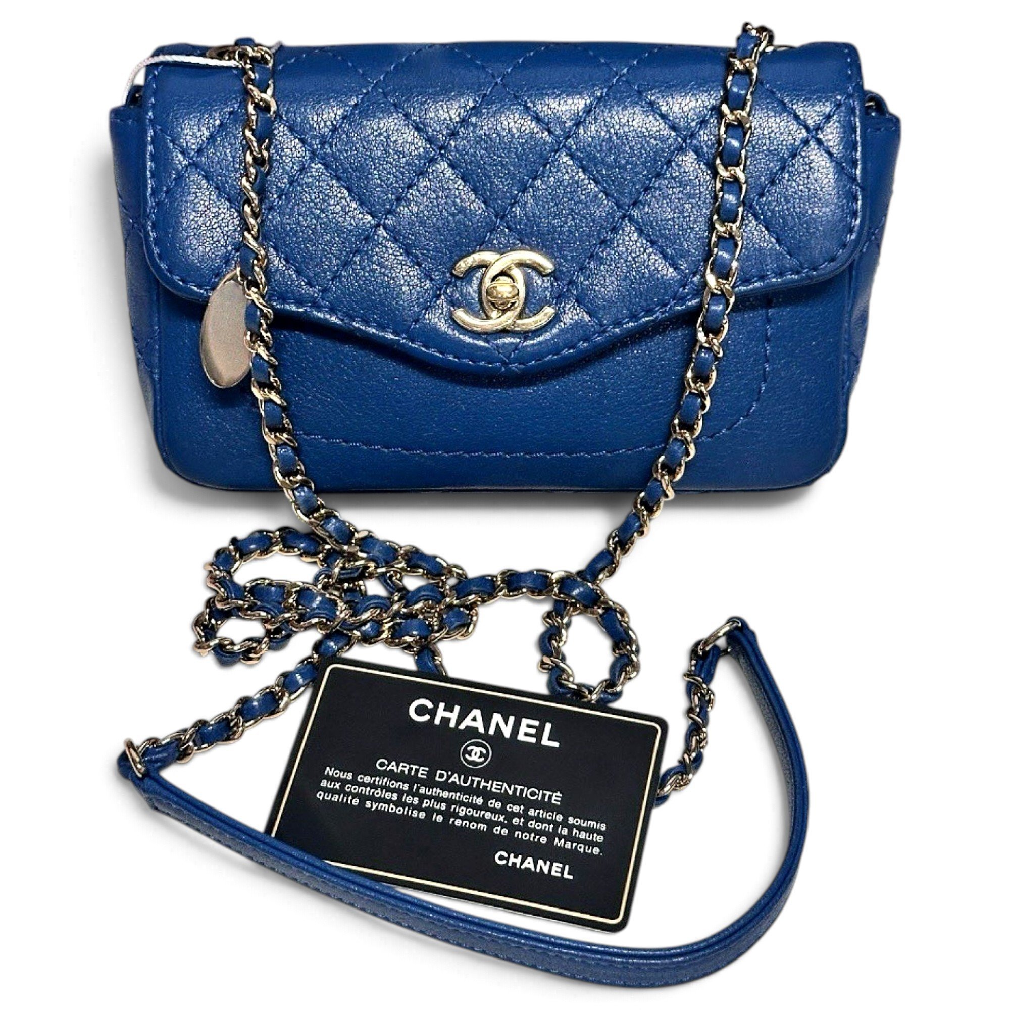 Timeless/Classique leather mini bag