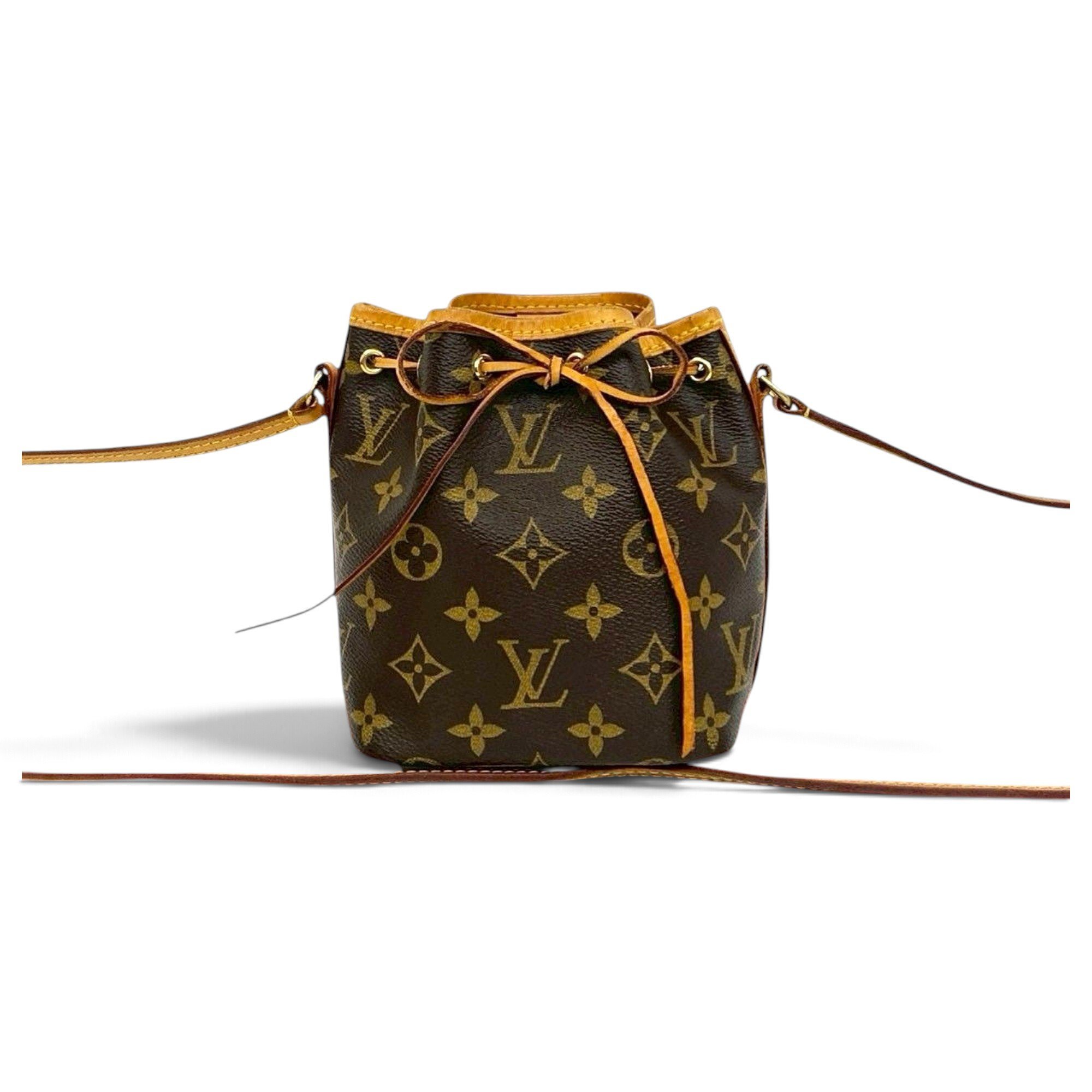 Nano Noé leather bag