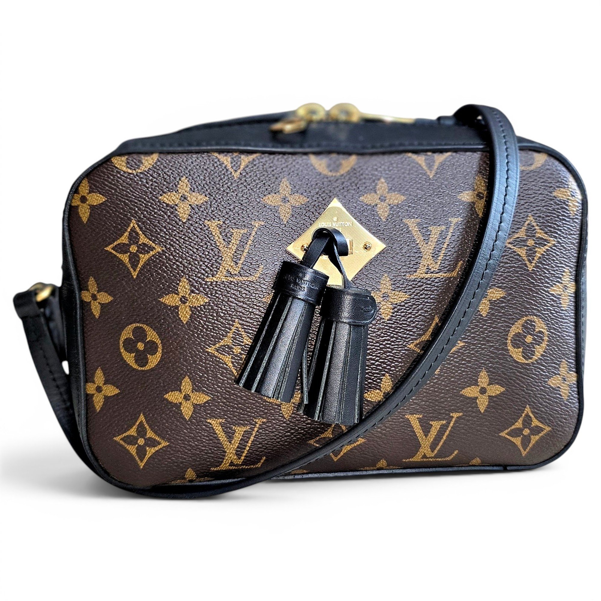 Saintonge leather crossbody bag