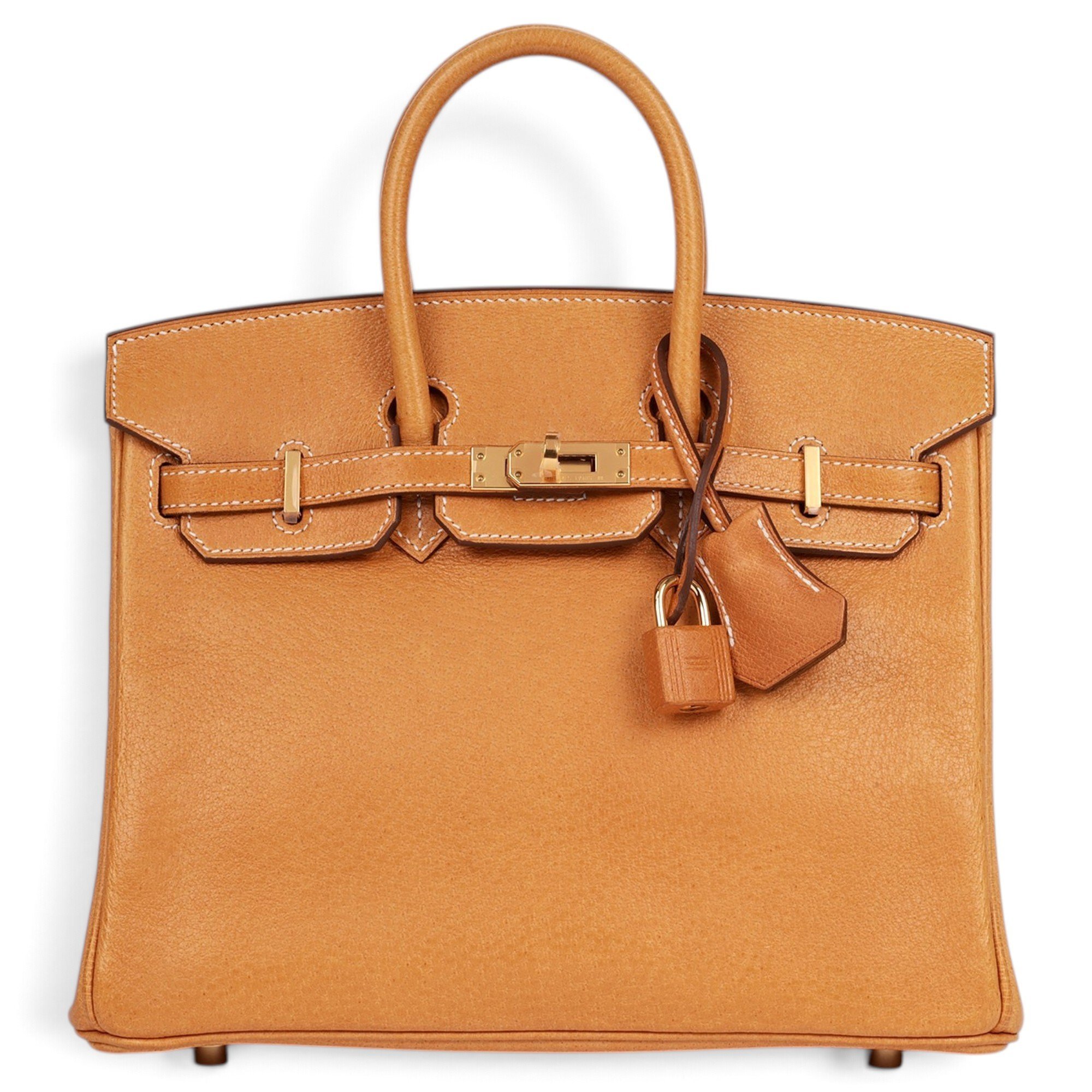 Birkin 25 leather tote
