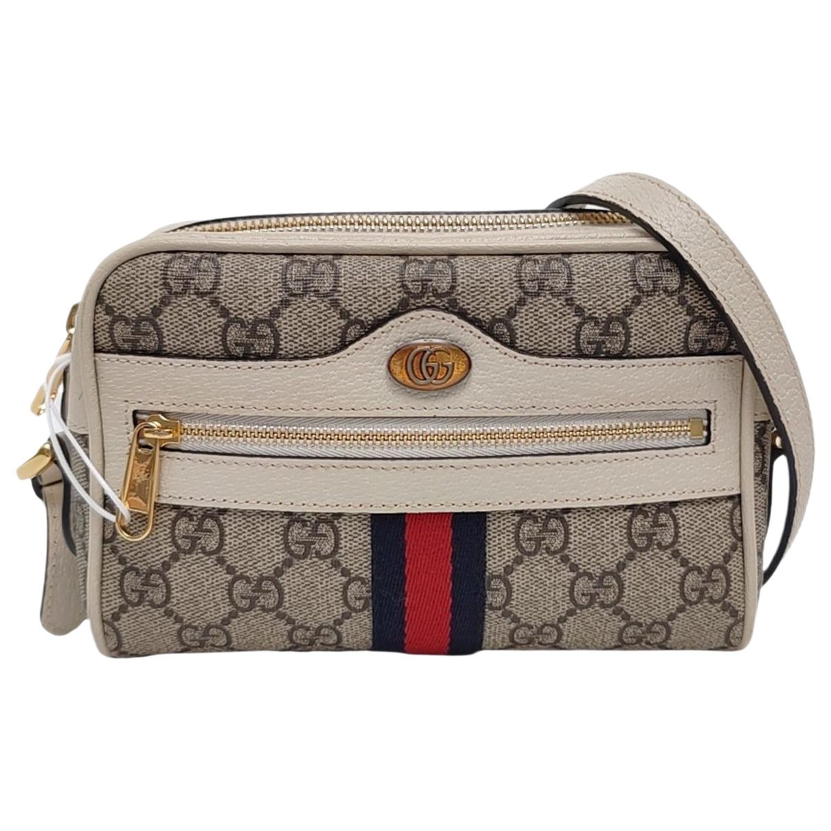 Ophidia leather mini bag