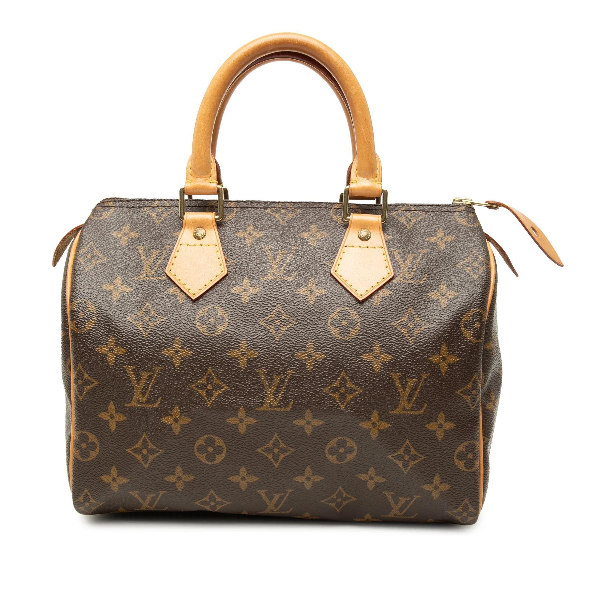 Speedy leather bag