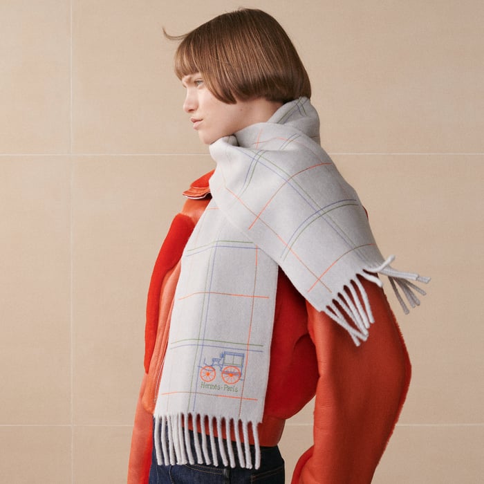 Gris Du Nord Brodee a Toute Berline ! Scarf