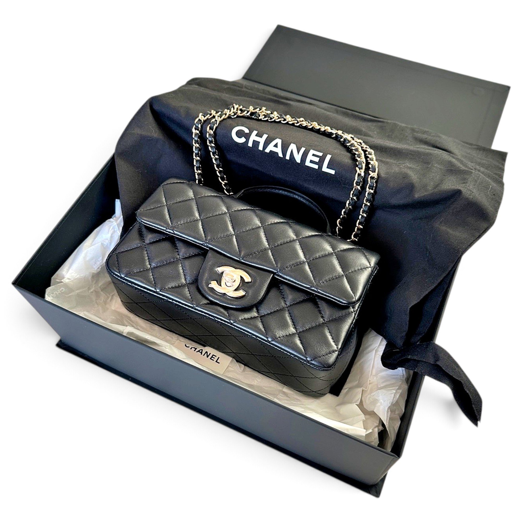 Coco Handle leather handbag