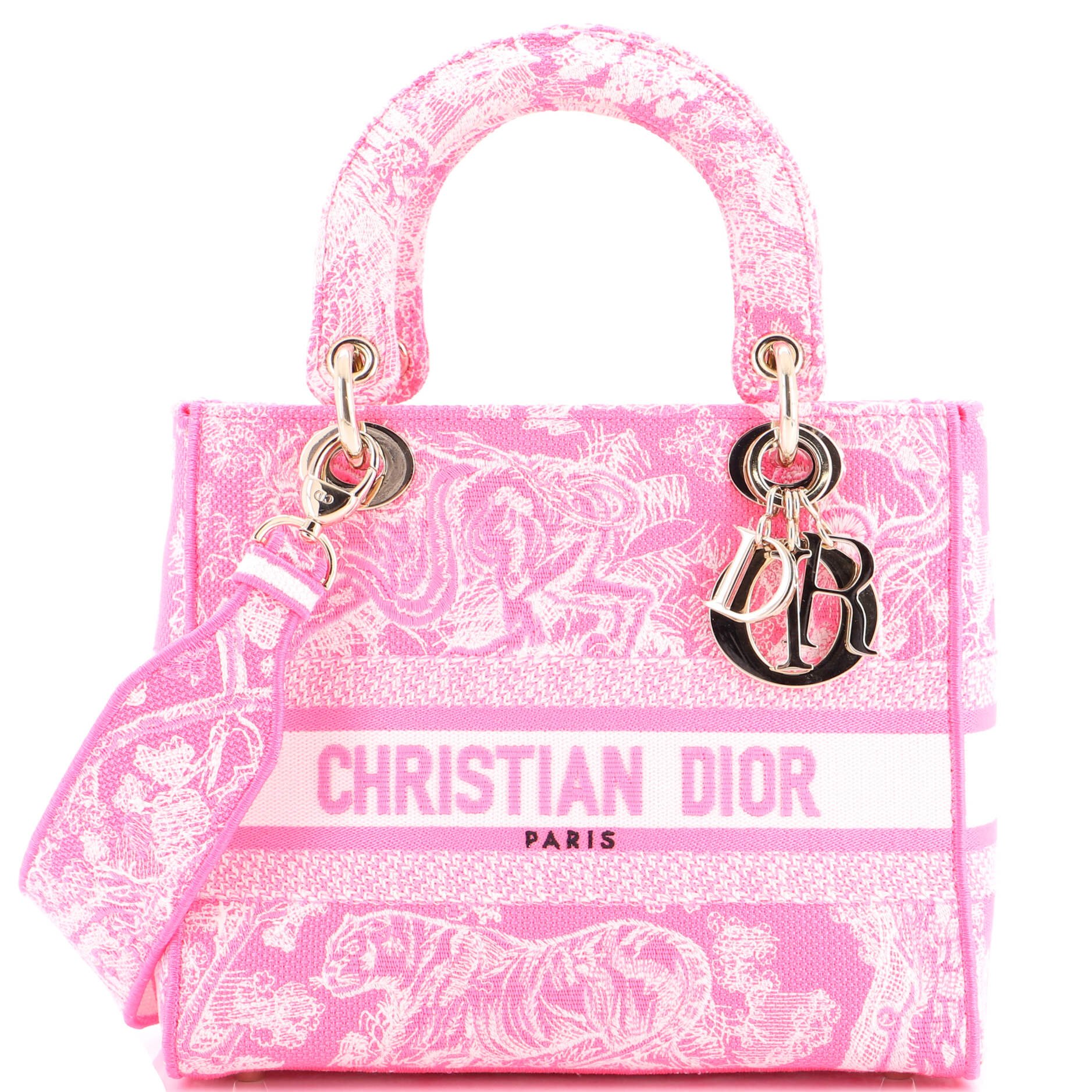 Dior Toile de Jouy Lady D-Lite Bag Embroidered Canvas