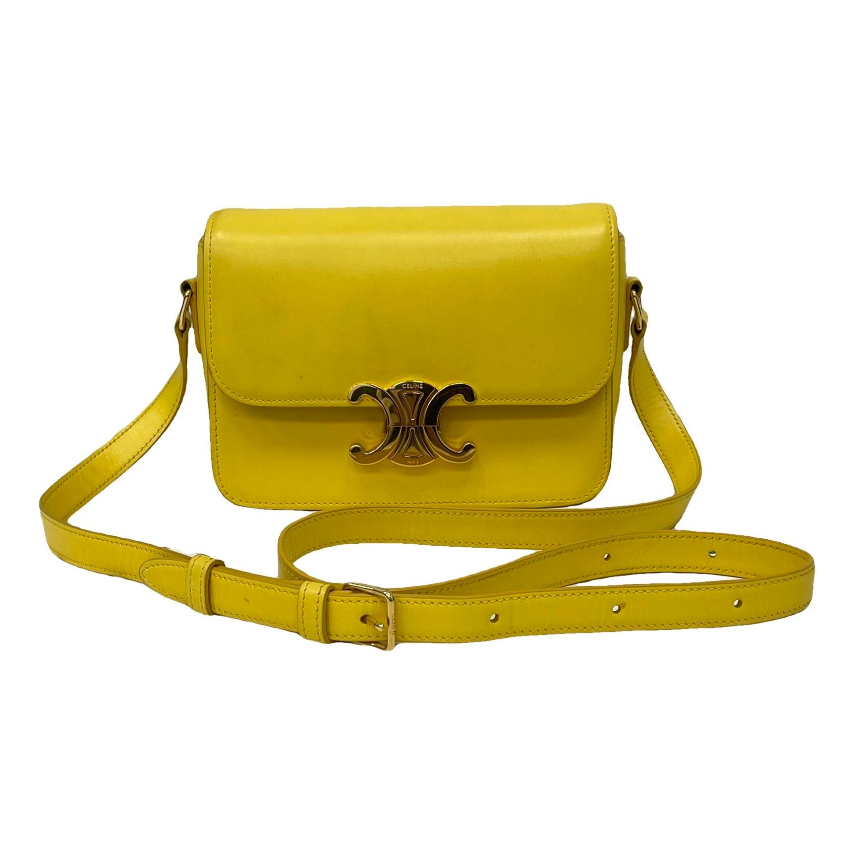 Triomphe leather handbag