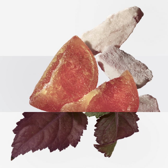 Sans Coloris Elixir Des Merveilles Eau De Parfum