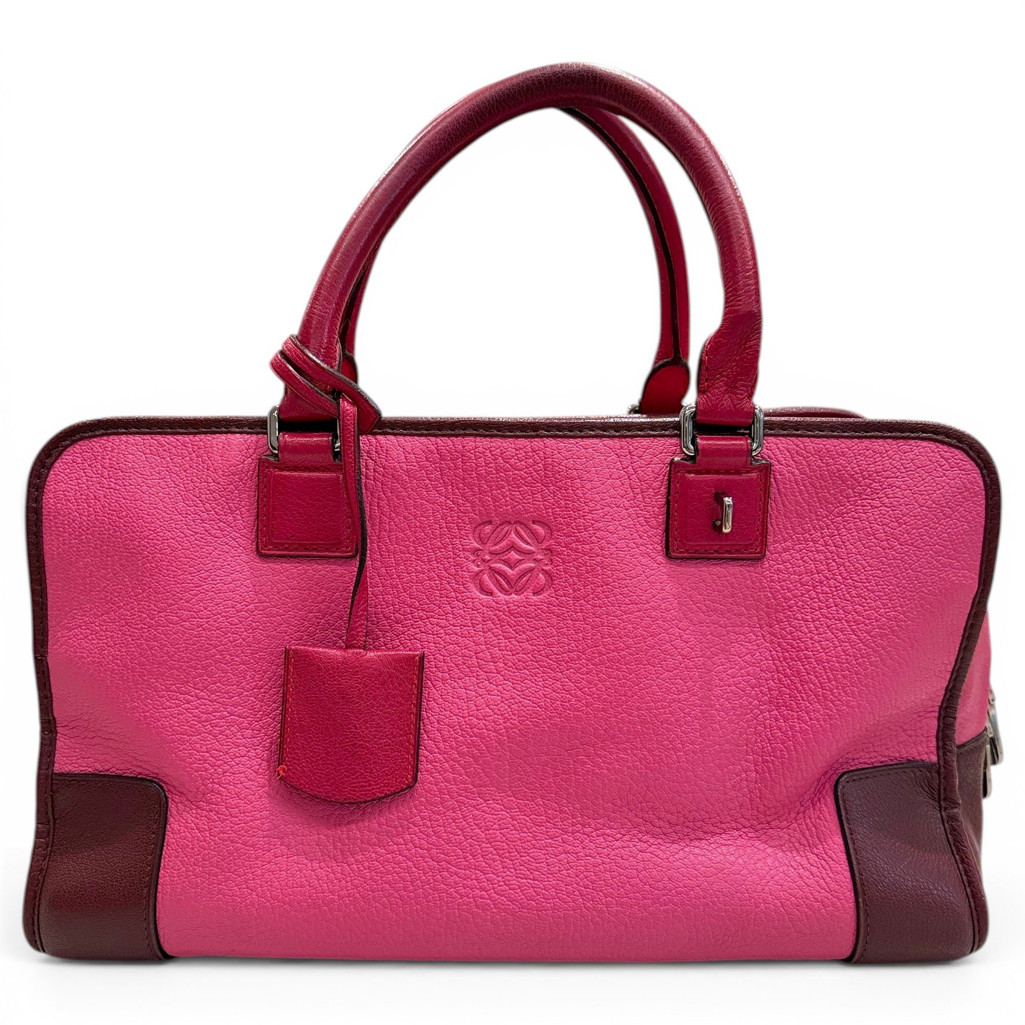 Amazona leather handbag