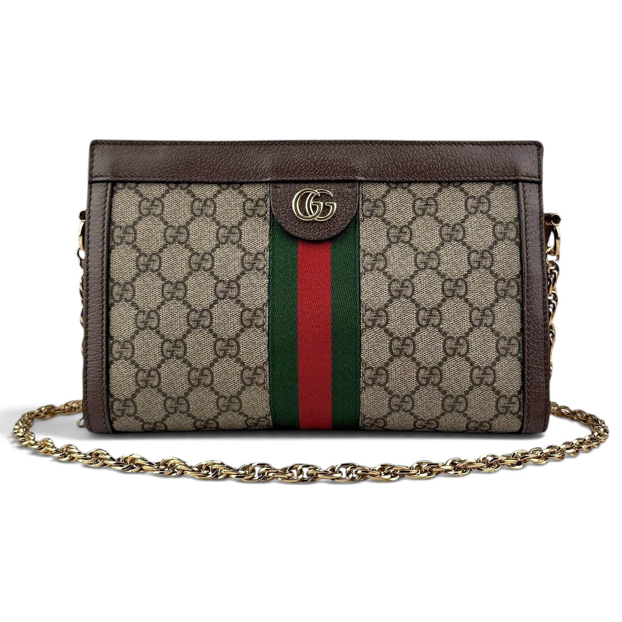 Ophidia Chain leather handbag