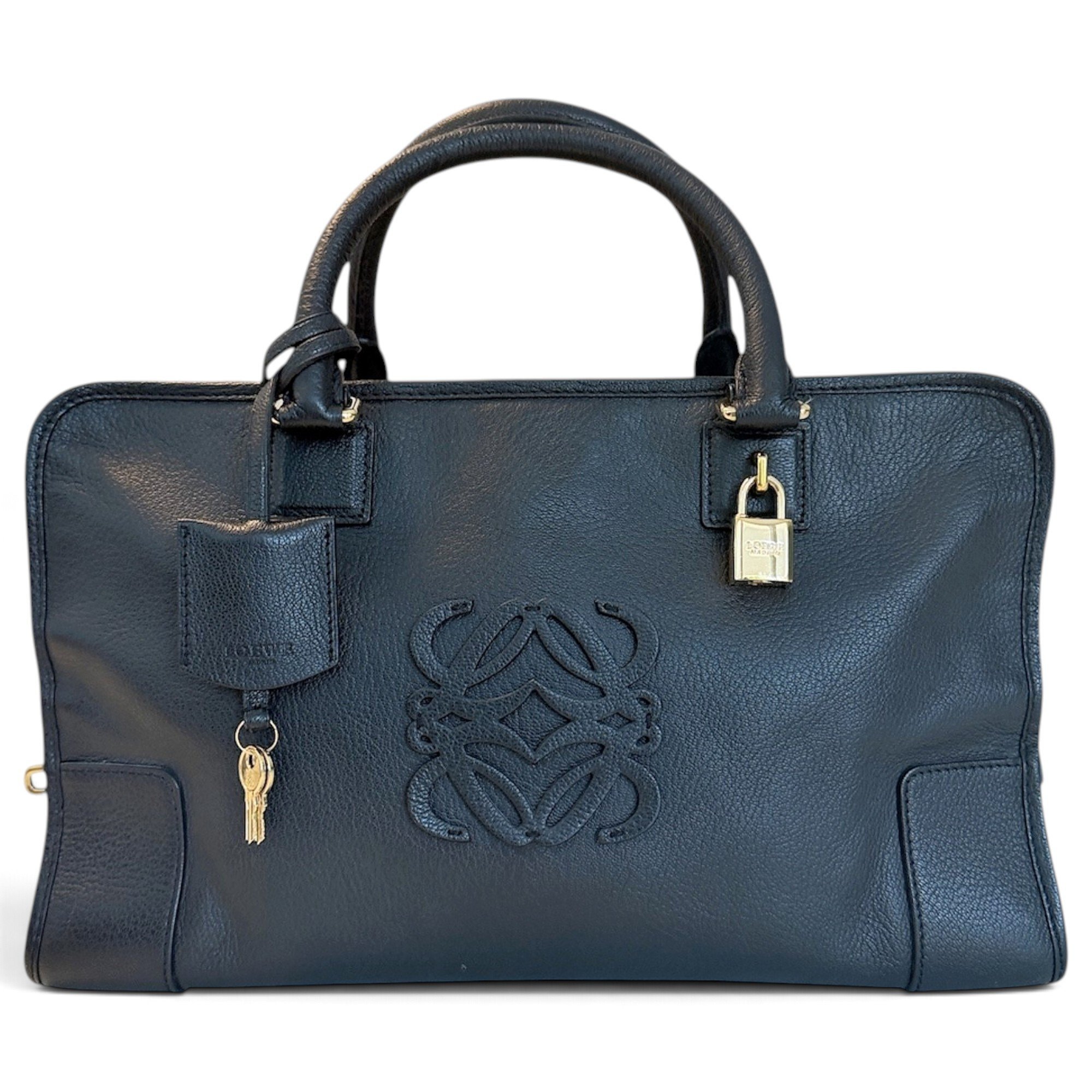 Amazona leather handbag