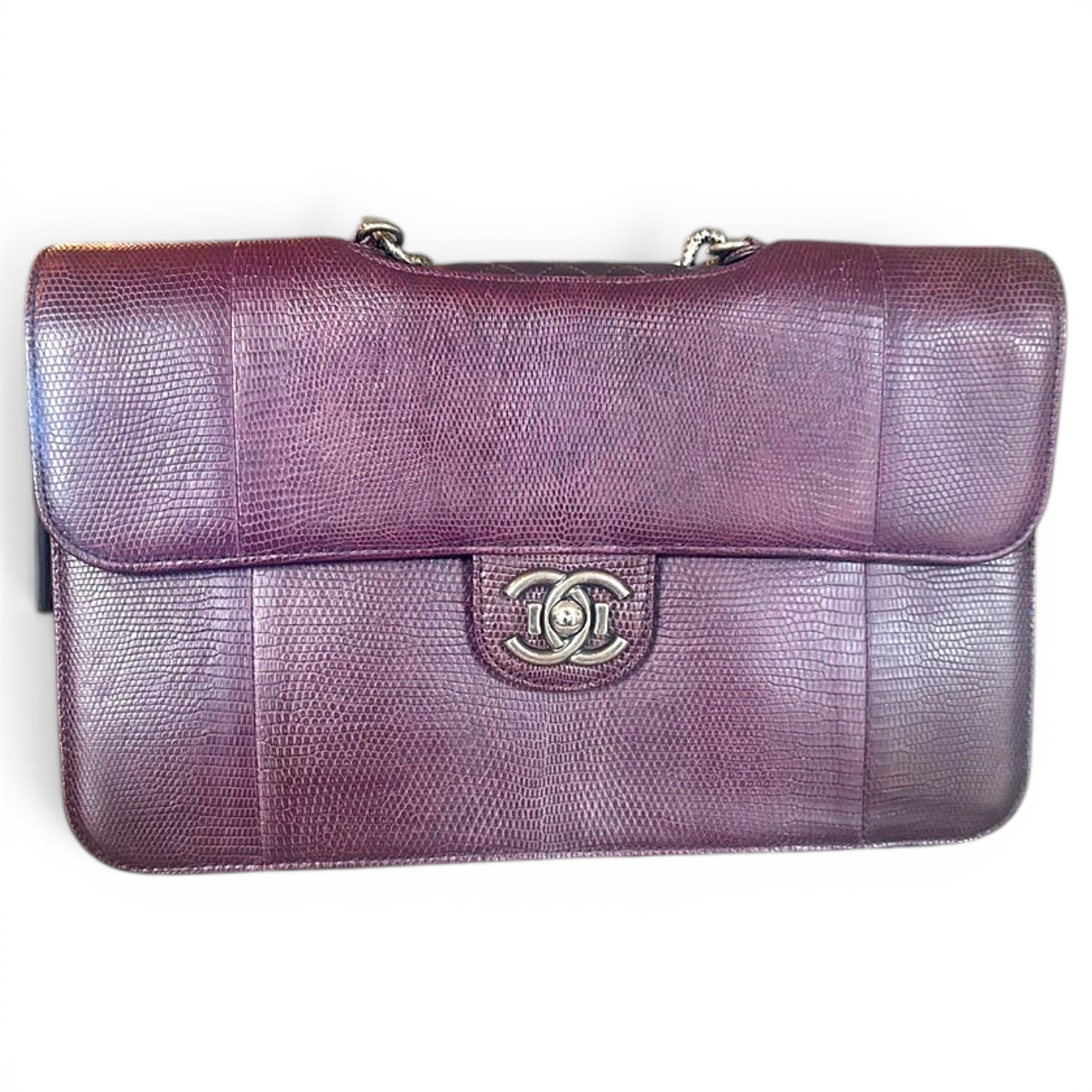Boy lizard handbag
