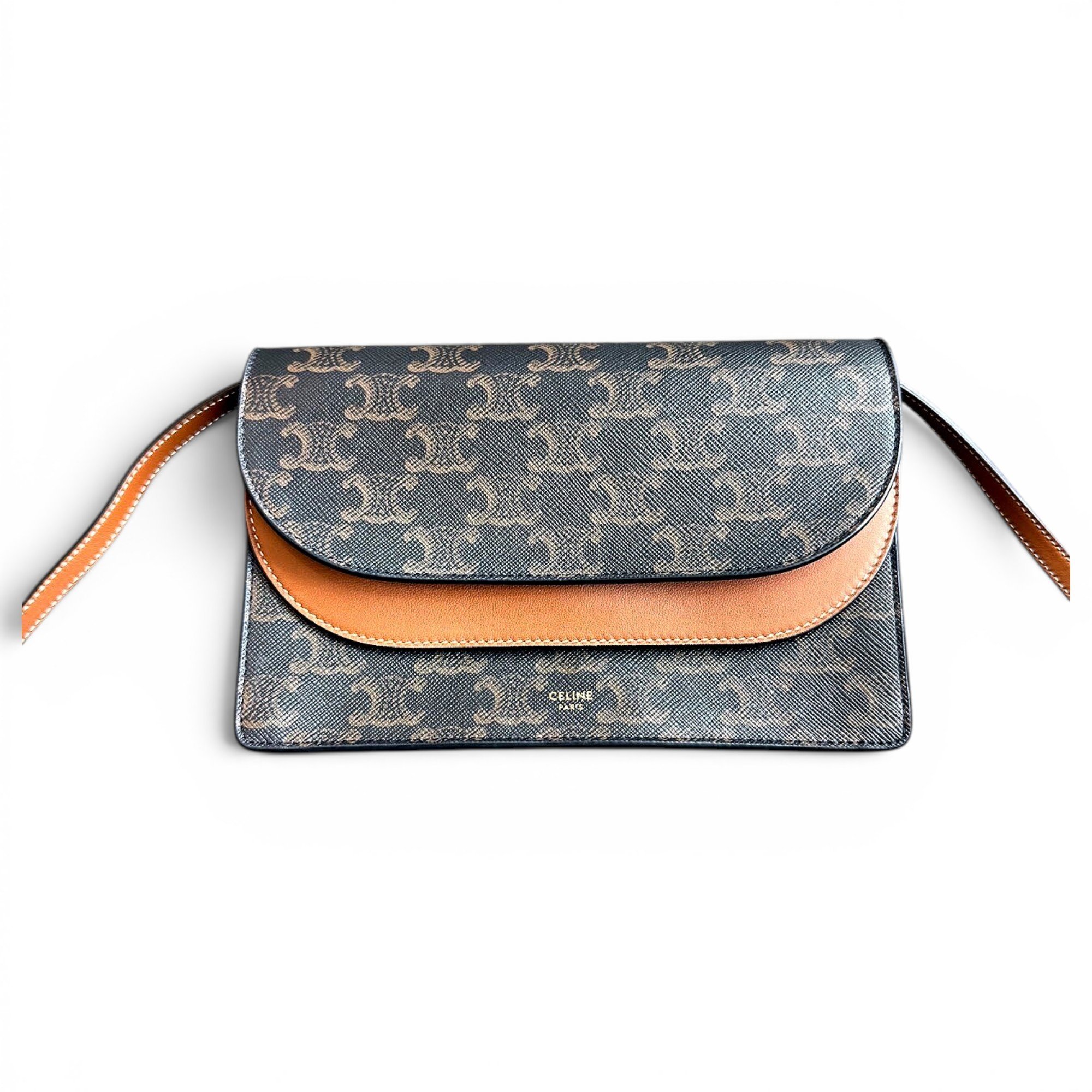 Triomphe Long leather handbag