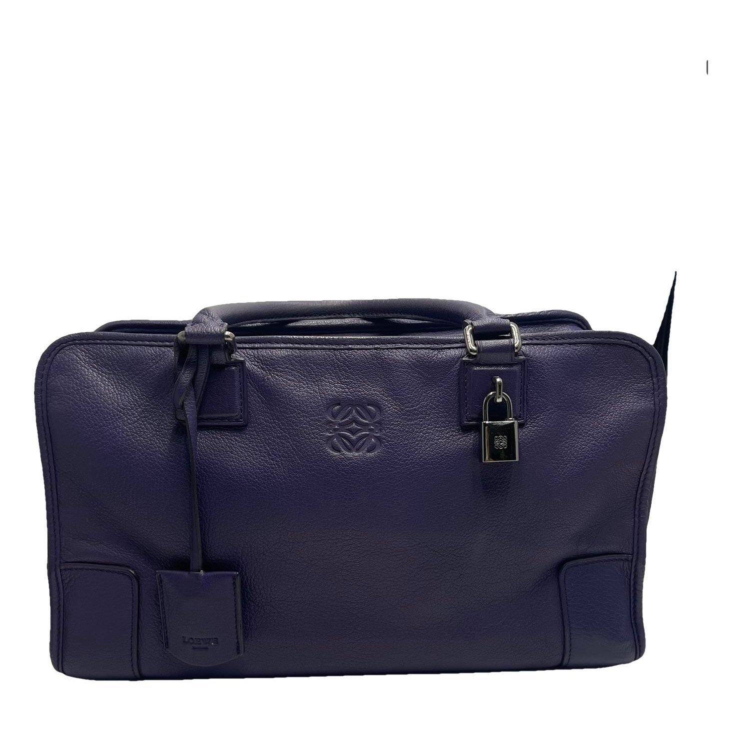 Amazona leather handbag