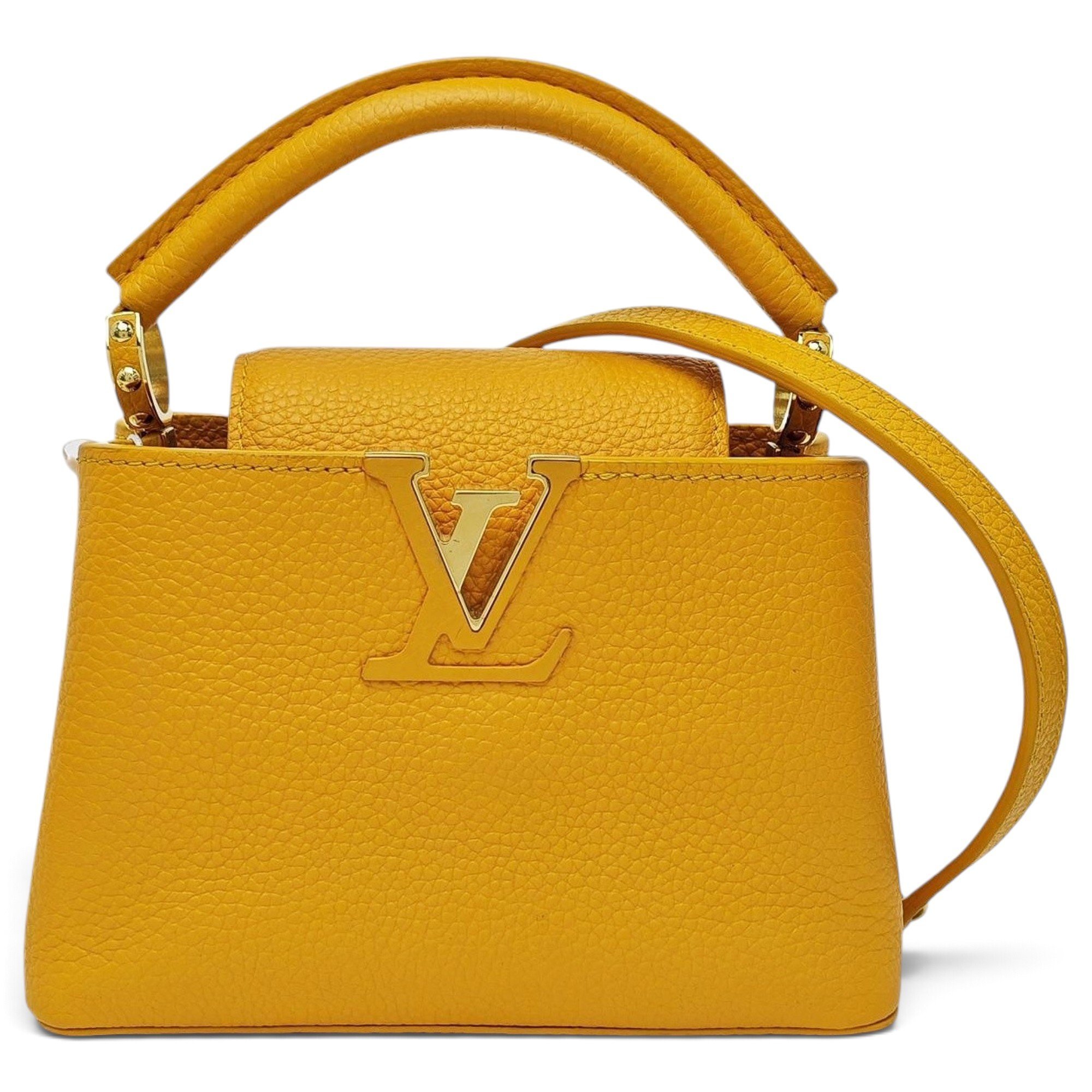 Capucines leather mini bag