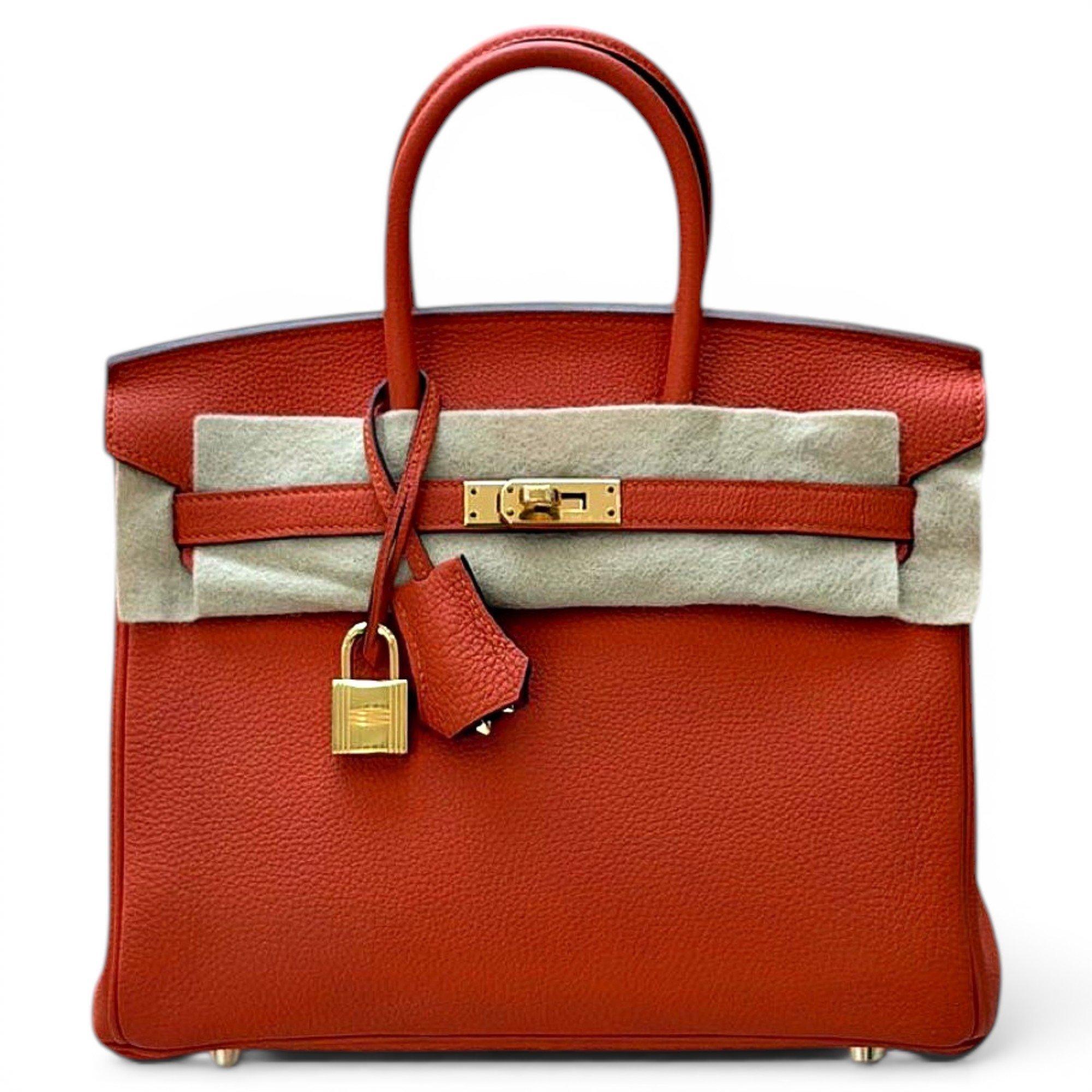 Hermes Birkin 25 Handbag Orange Togo Leather