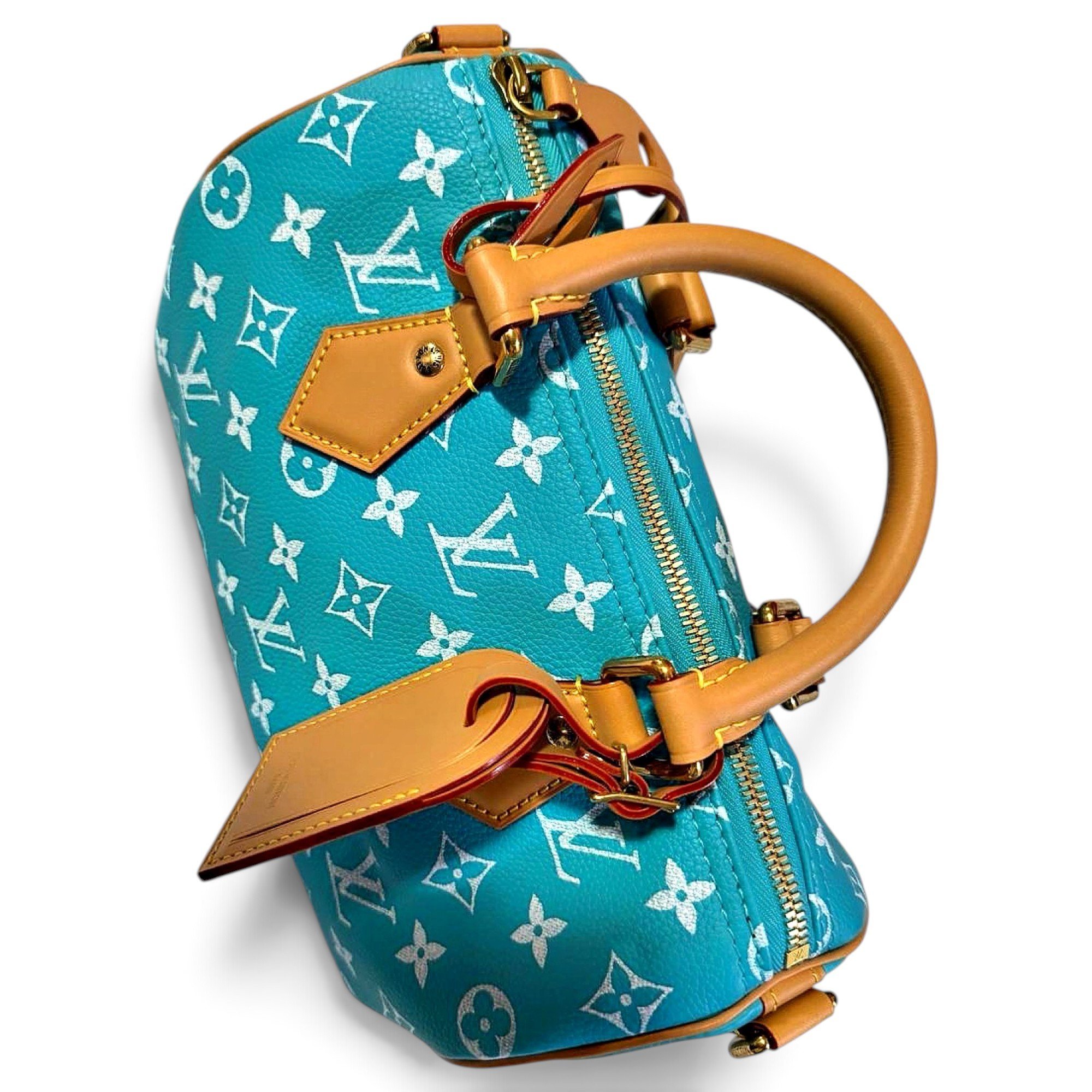 Speedy Bandoulière leather handbag