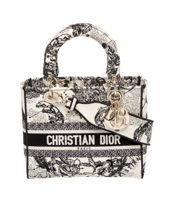 Dior Dior Canvas D Lite Medium 2022