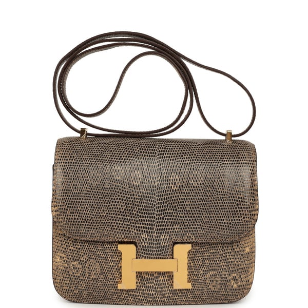 Hermes Hermes Constance 18 Ombre Shiny Varanus Salvator Lizard Gold Hardware