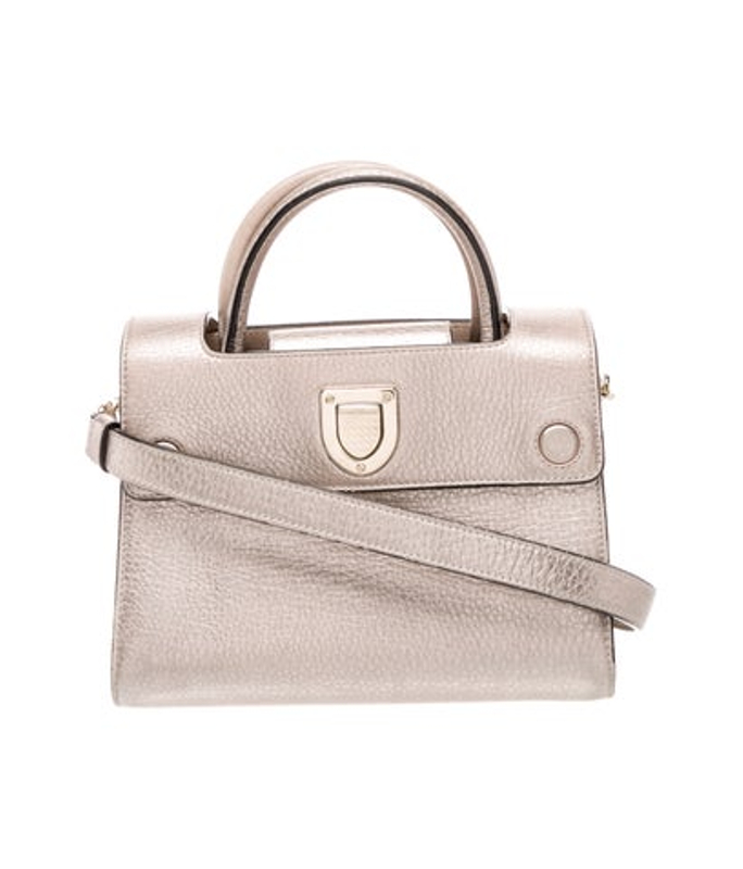 Dior Dior Leather Diorever Mini