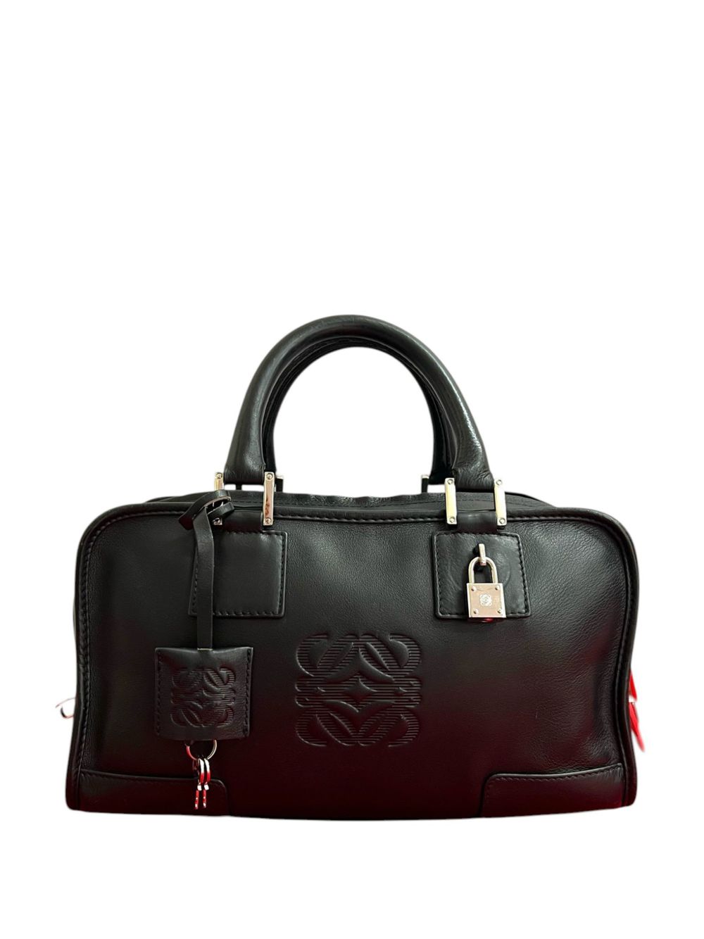 2010-2026 Leather Amazona 28 handbag