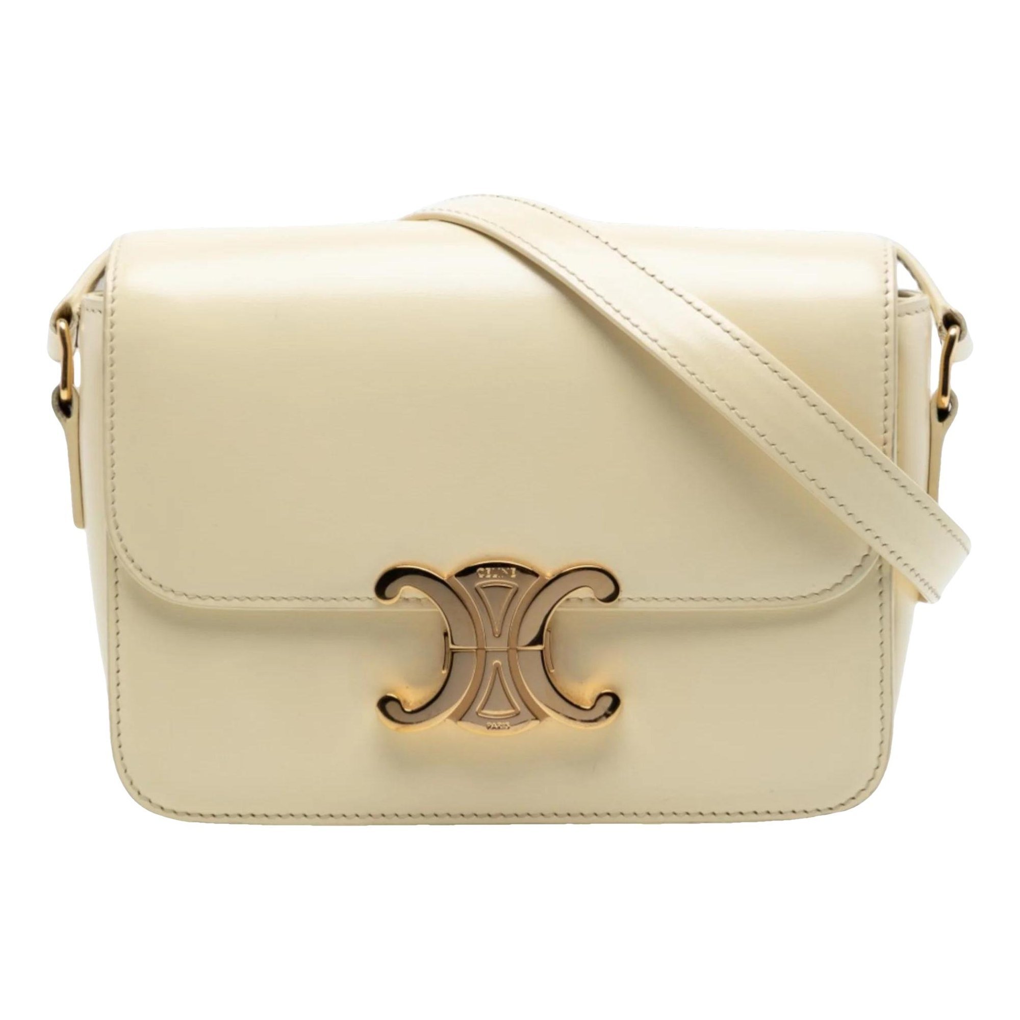 Triomphe leather bag