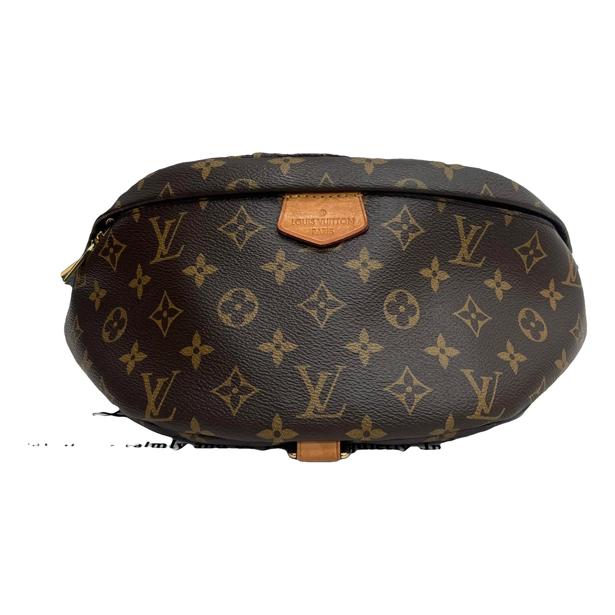 Louis Vuitton Bum Bag / Sac Ceinture leather handbag