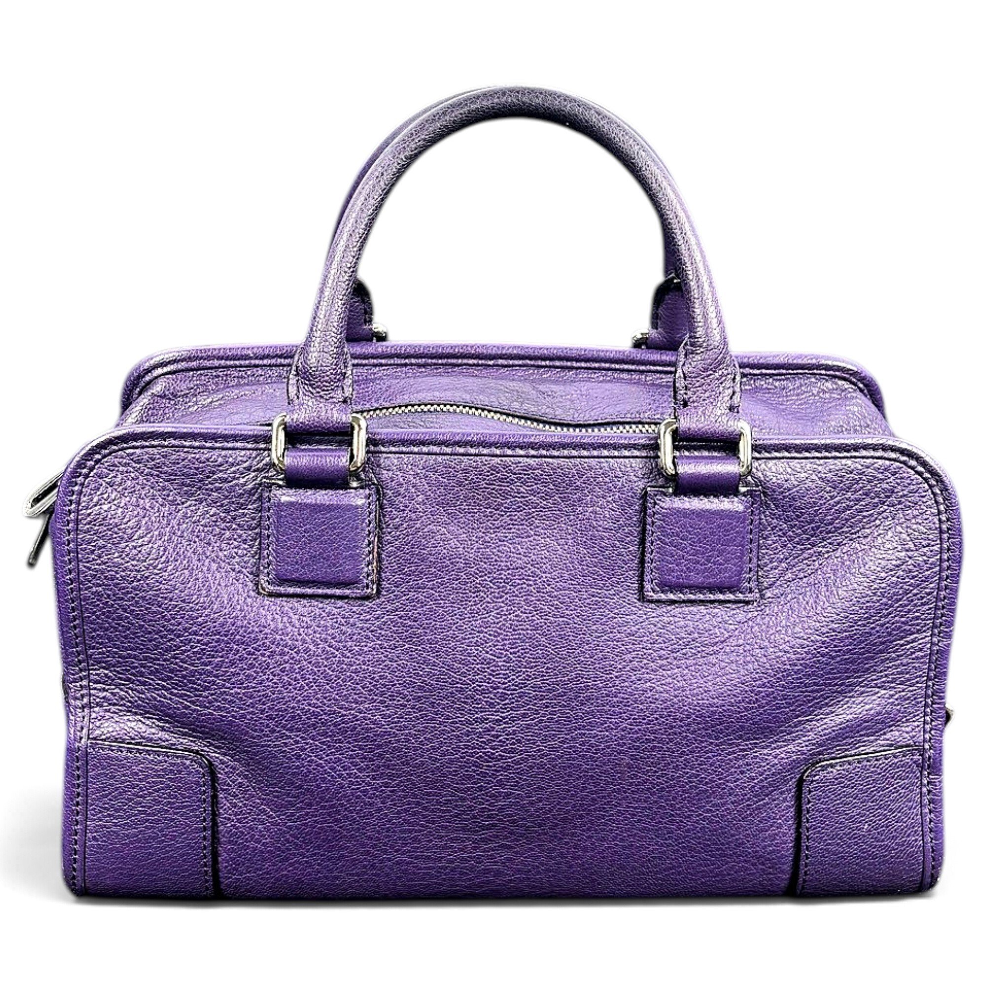 Amazona leather handbag