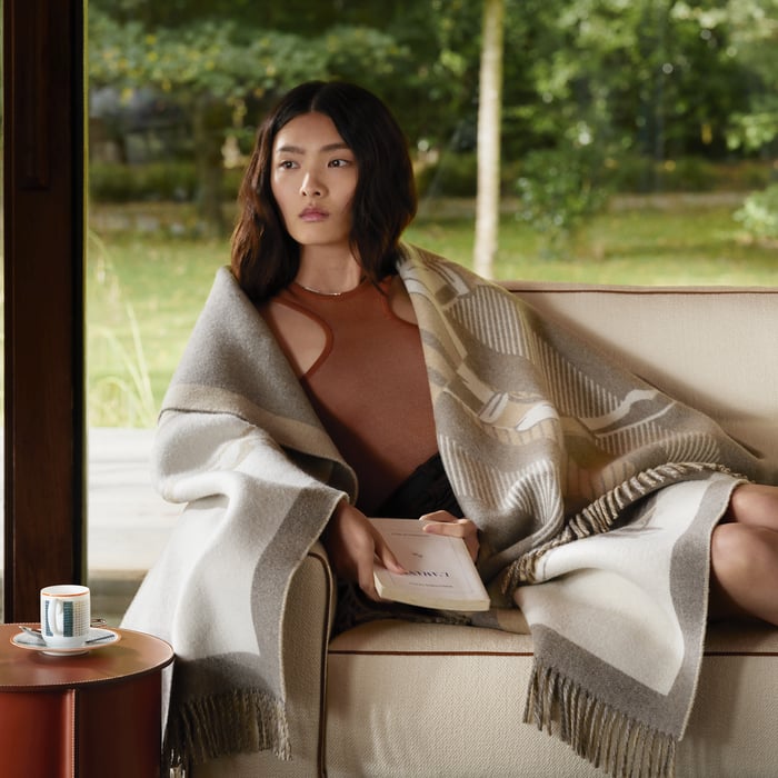 Brun Cheval a La Couverture Blanket