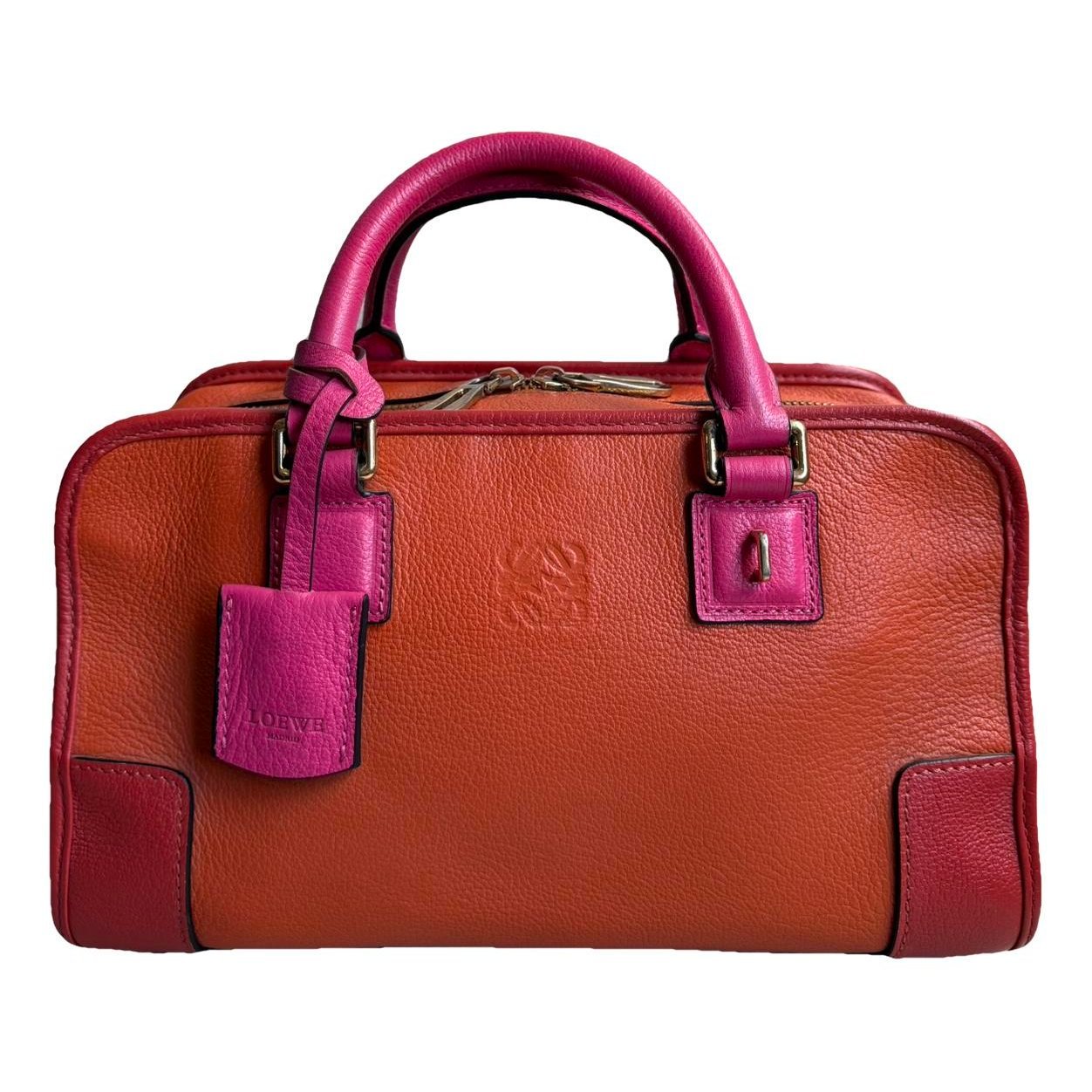 Amazona leather handbag