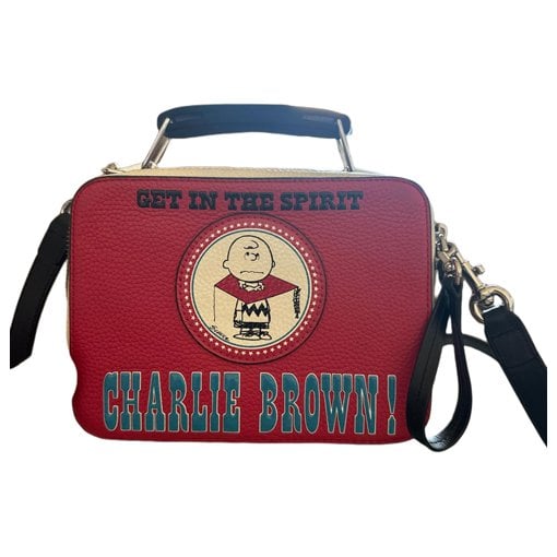 Snapshot leather crossbody bag
