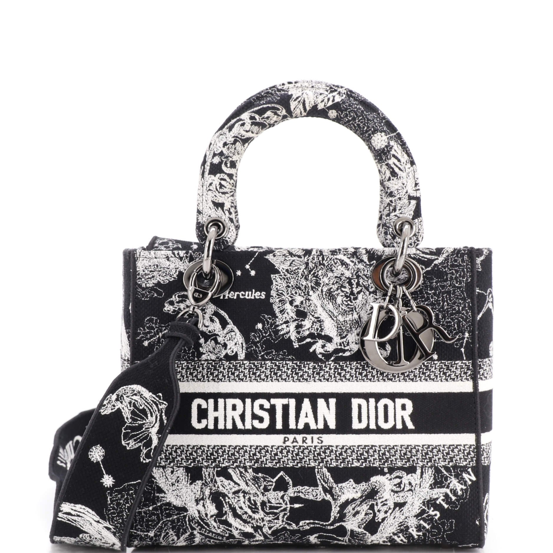Lady D-Lite Bag Embroidered Canvas Medium