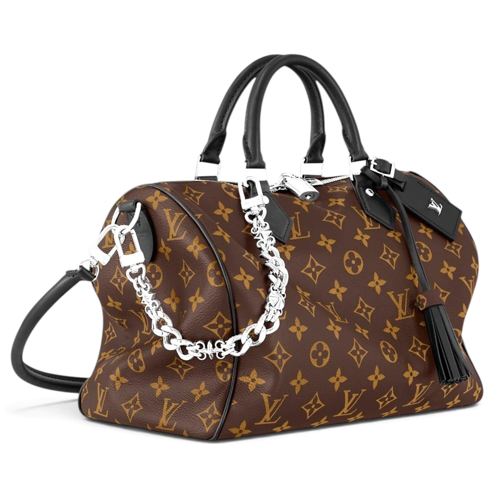 Louis Vuitton Speedy leather handbag