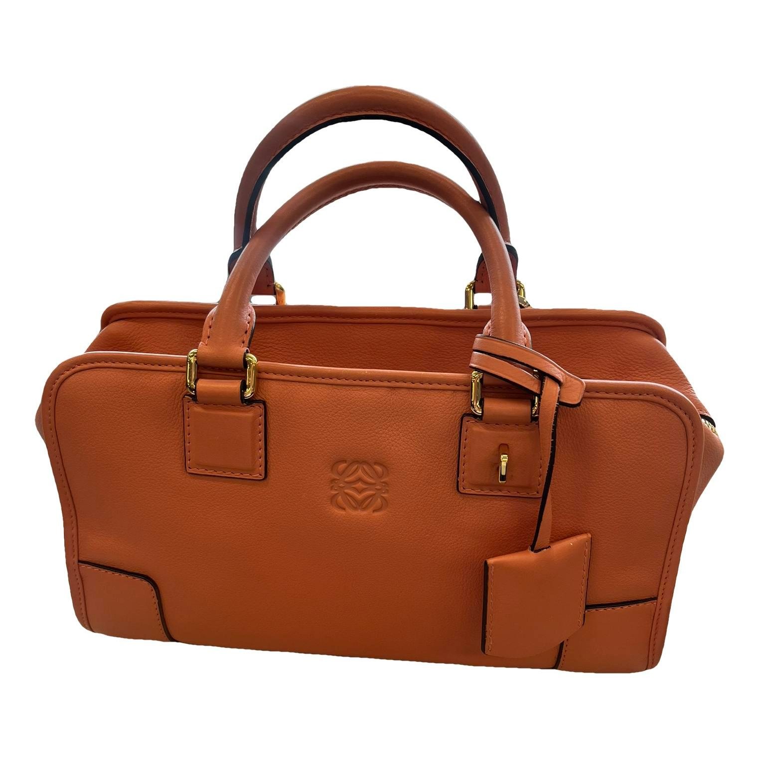 Amazona leather handbag