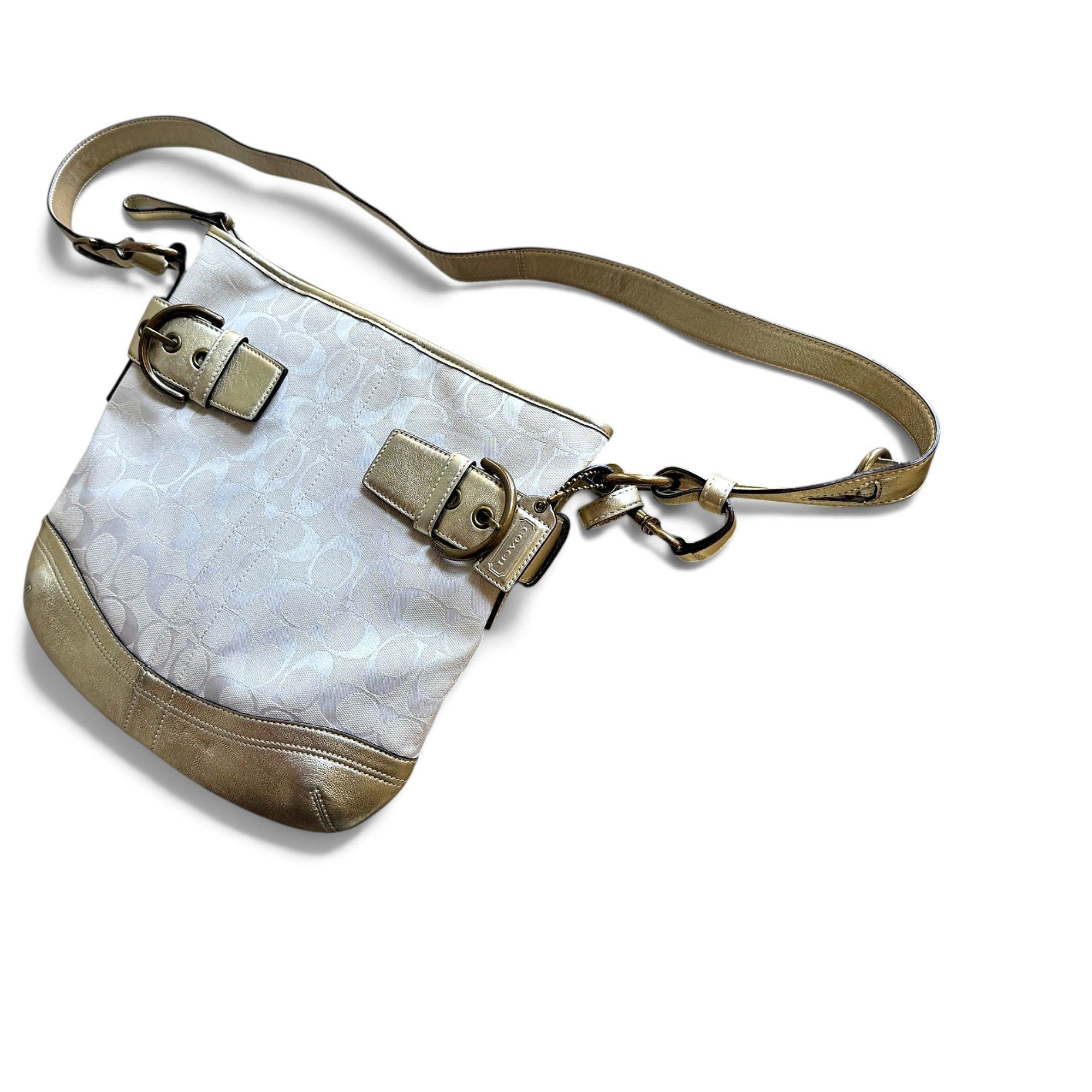 Canvas Courier Crossbody crossbody bag