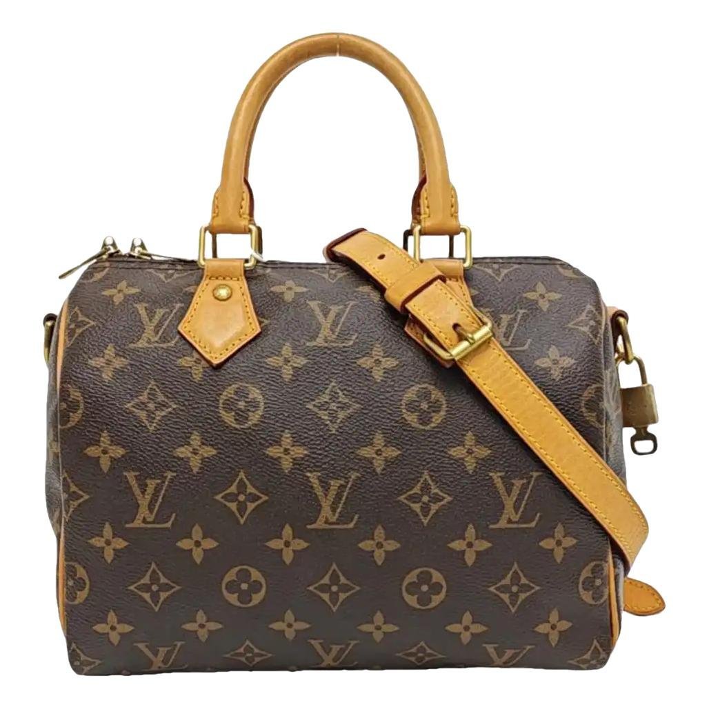 Nano Speedy / Mini HL leather handbag