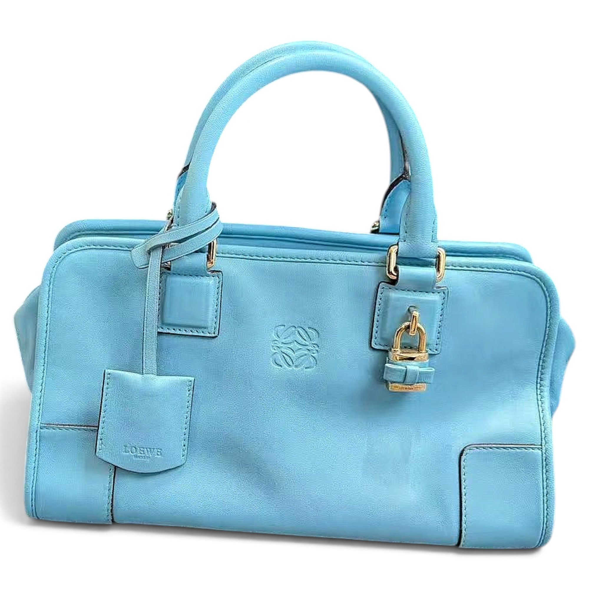 Amazona leather handbag