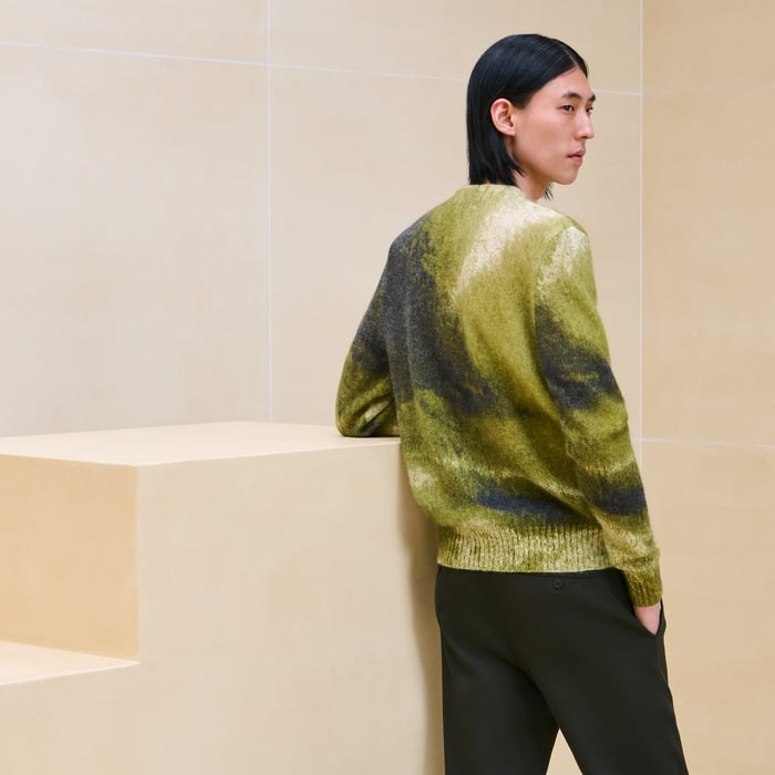 Anis "Reflets Equestres" Buttoned Cardigan