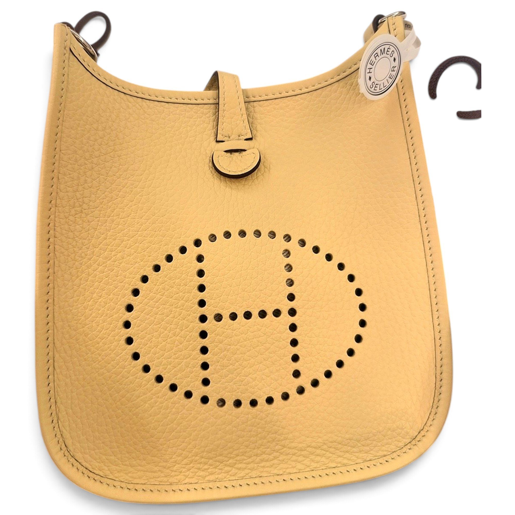 Mini Evelyne leather crossbody bag
