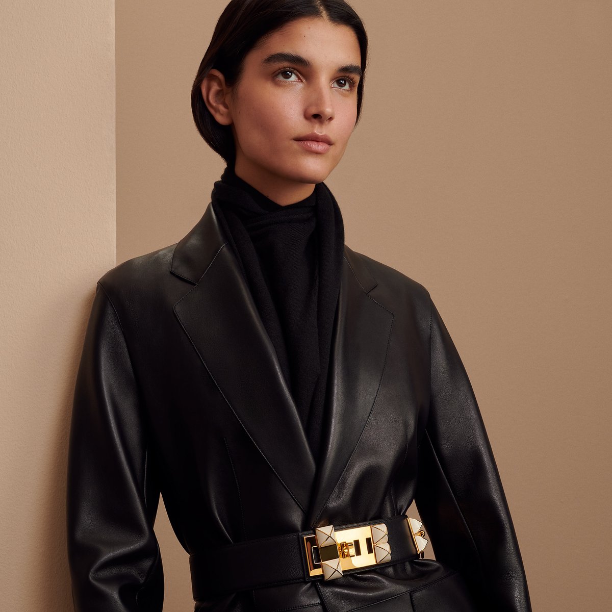 Collier De Chien 50 Belt