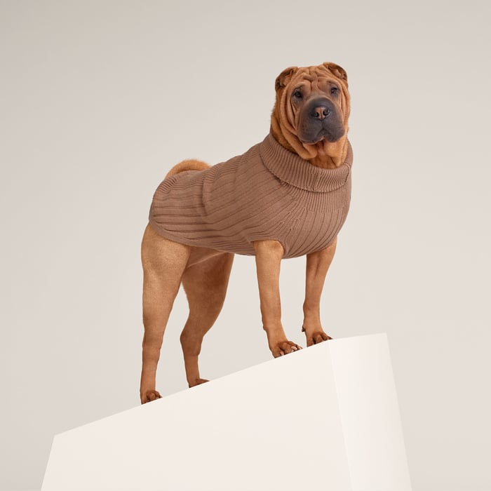 Fauve Dog Pullover