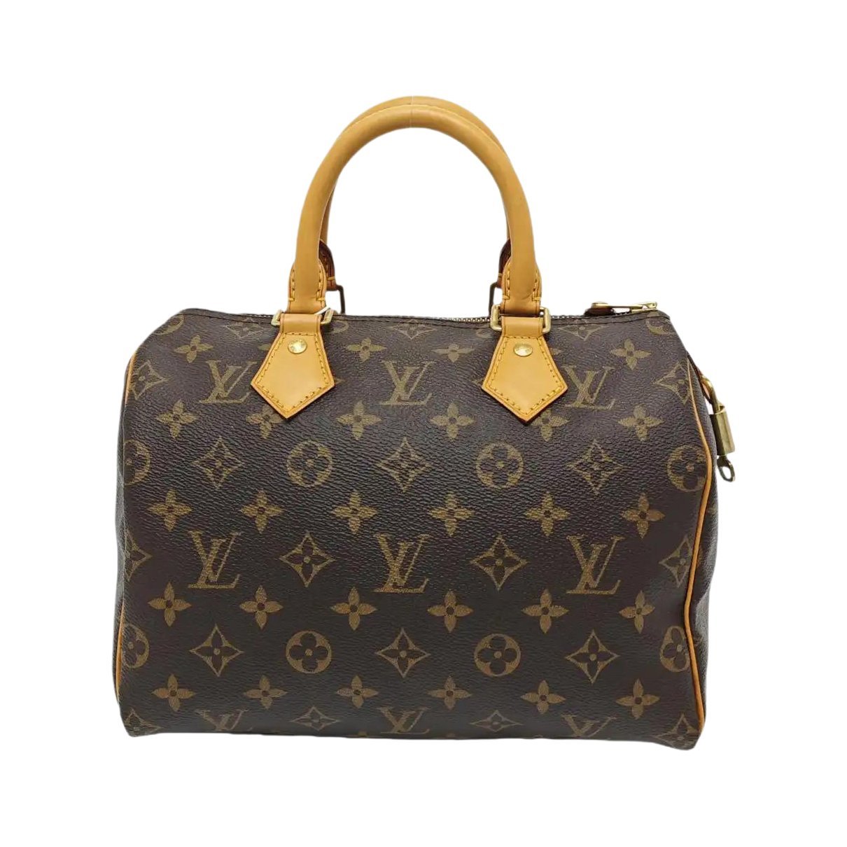 Louis Vuitton Nano Speedy / Mini HL leather handbag