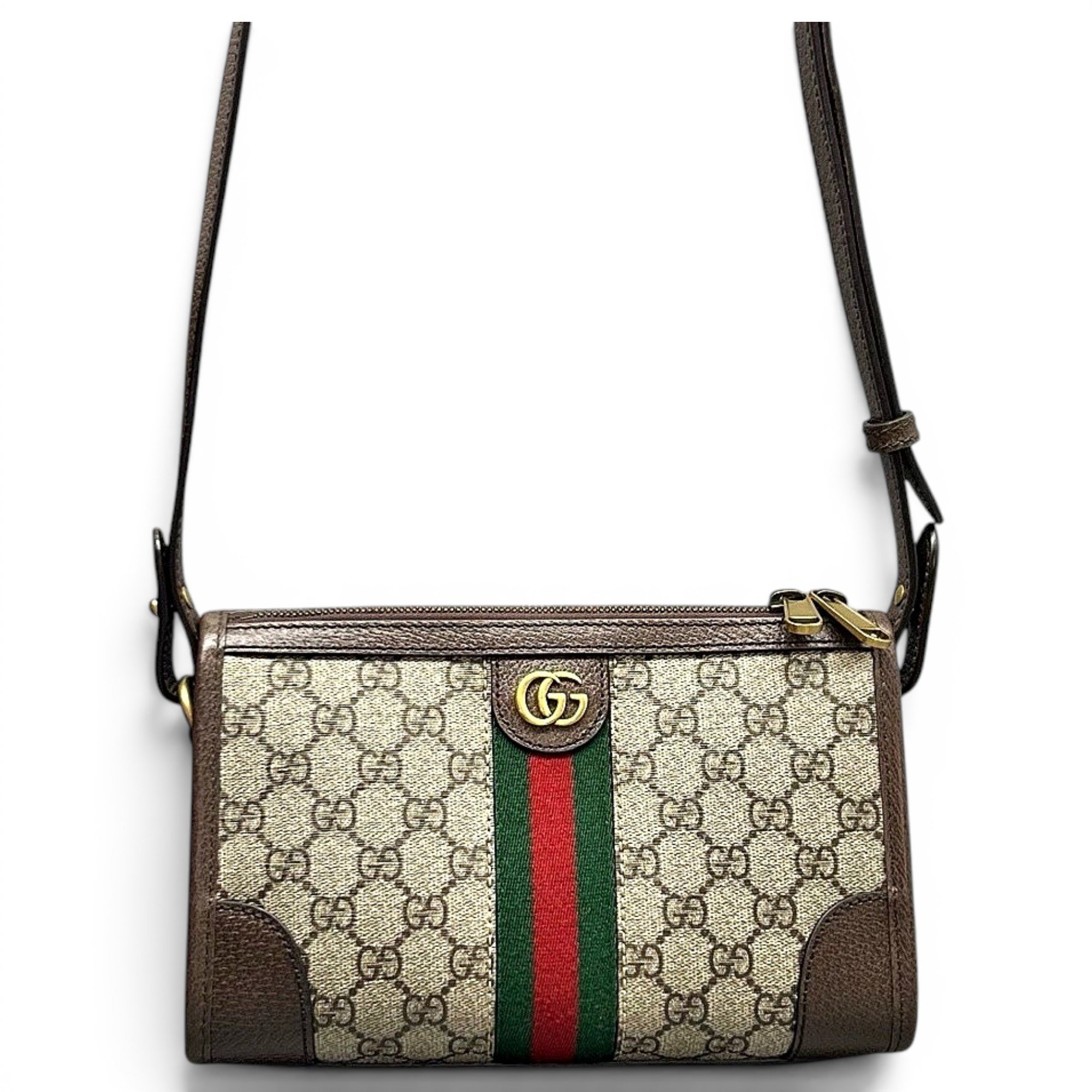 Ophidia Chain leather handbag