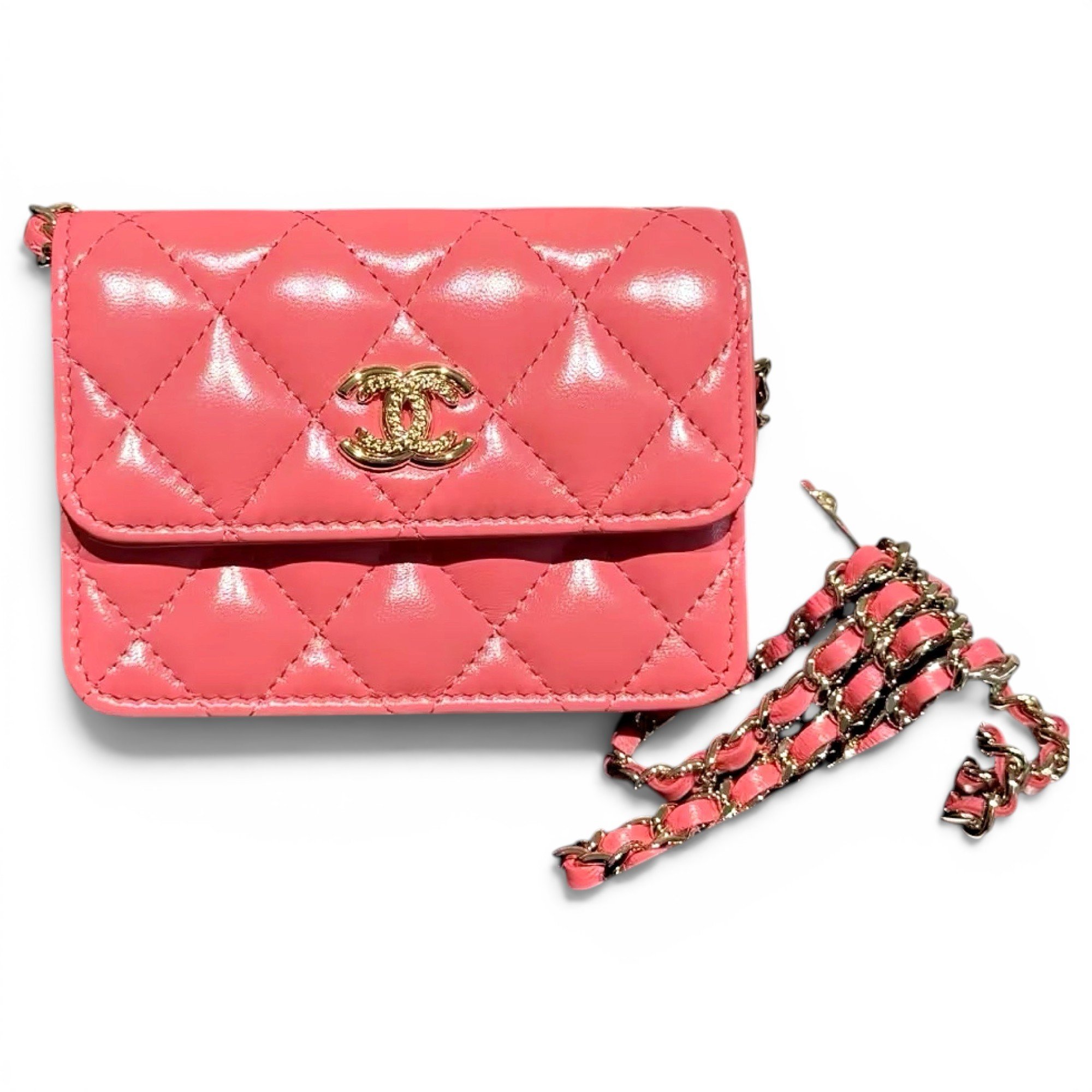 Wallet On Chain Timeless/Classique leather handbag